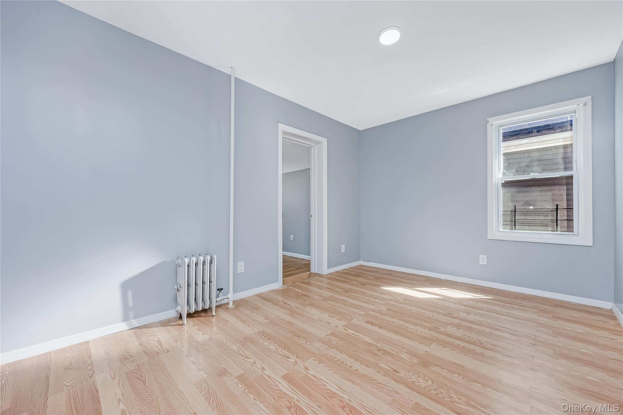 Single Family 145th Street  Queens, NY 11435, MLS-1051962-18