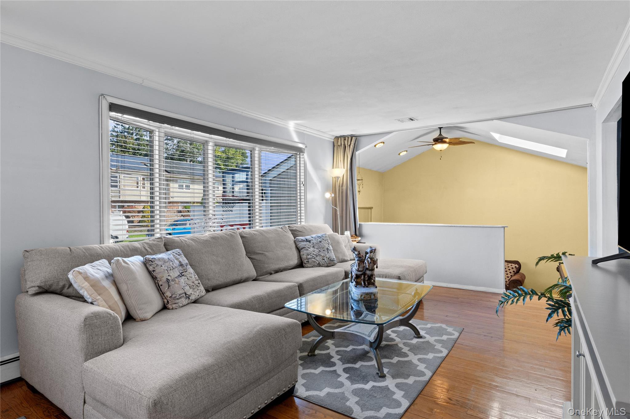 Single Family Leslie Lane  Nassau County, NY 11710, MLS-1052015-19