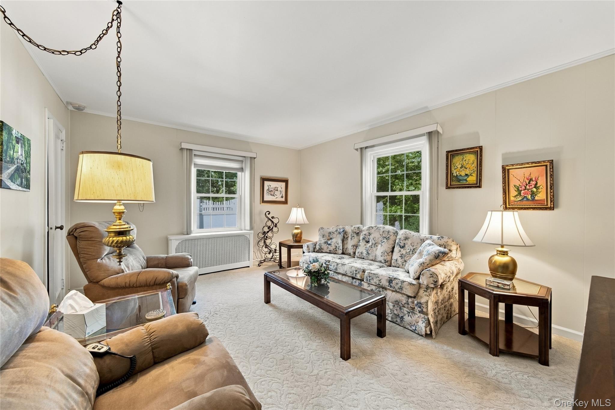 Single Family Shaw Drive Nassau County, NY 11566, MLS-1052082-12