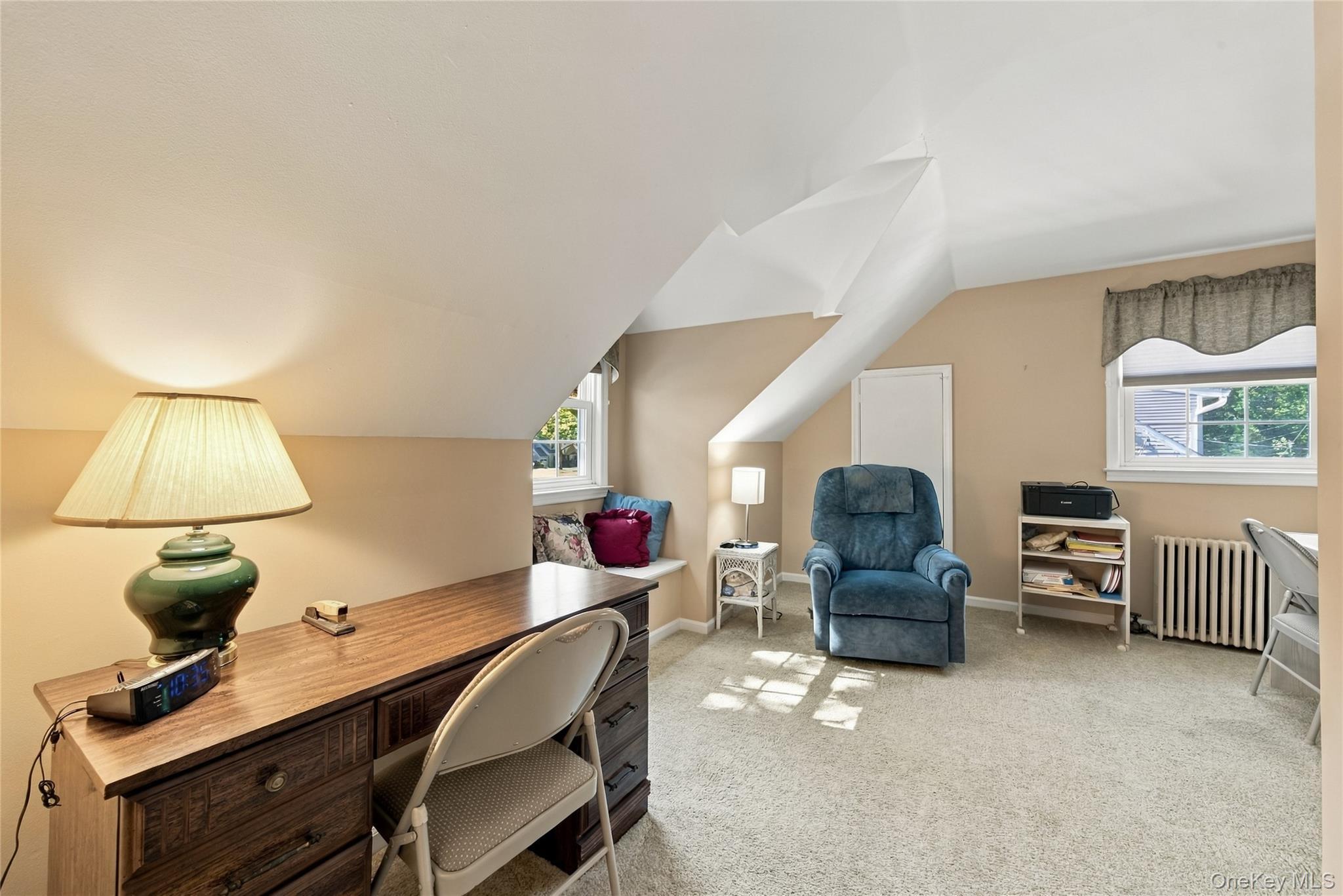 Single Family Shaw Drive Nassau County, NY 11566, MLS-1052082-13
