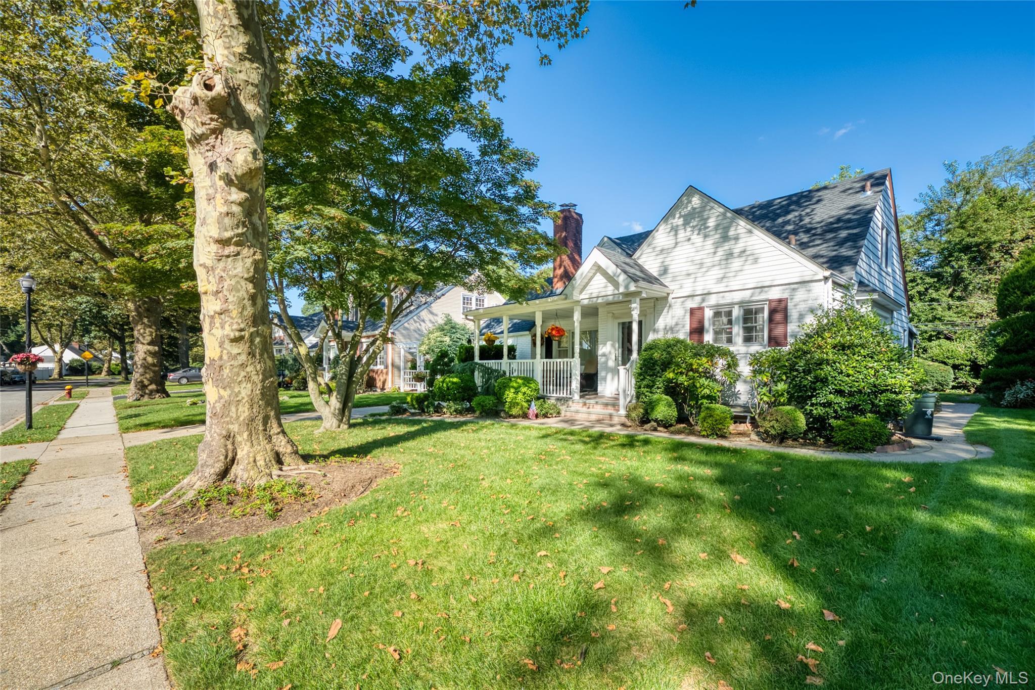 Single Family Shaw Drive Nassau County, NY 11566, MLS-1052082-2