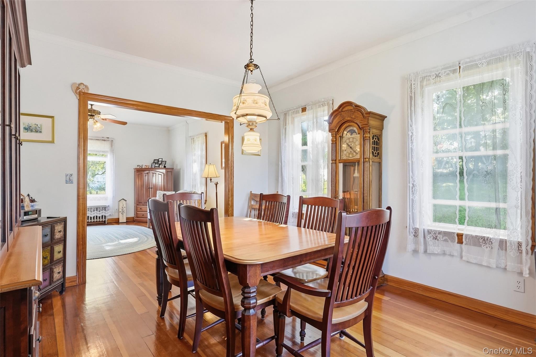 Single Family William Street Orange County, NY 10924, MLS-1052086-8