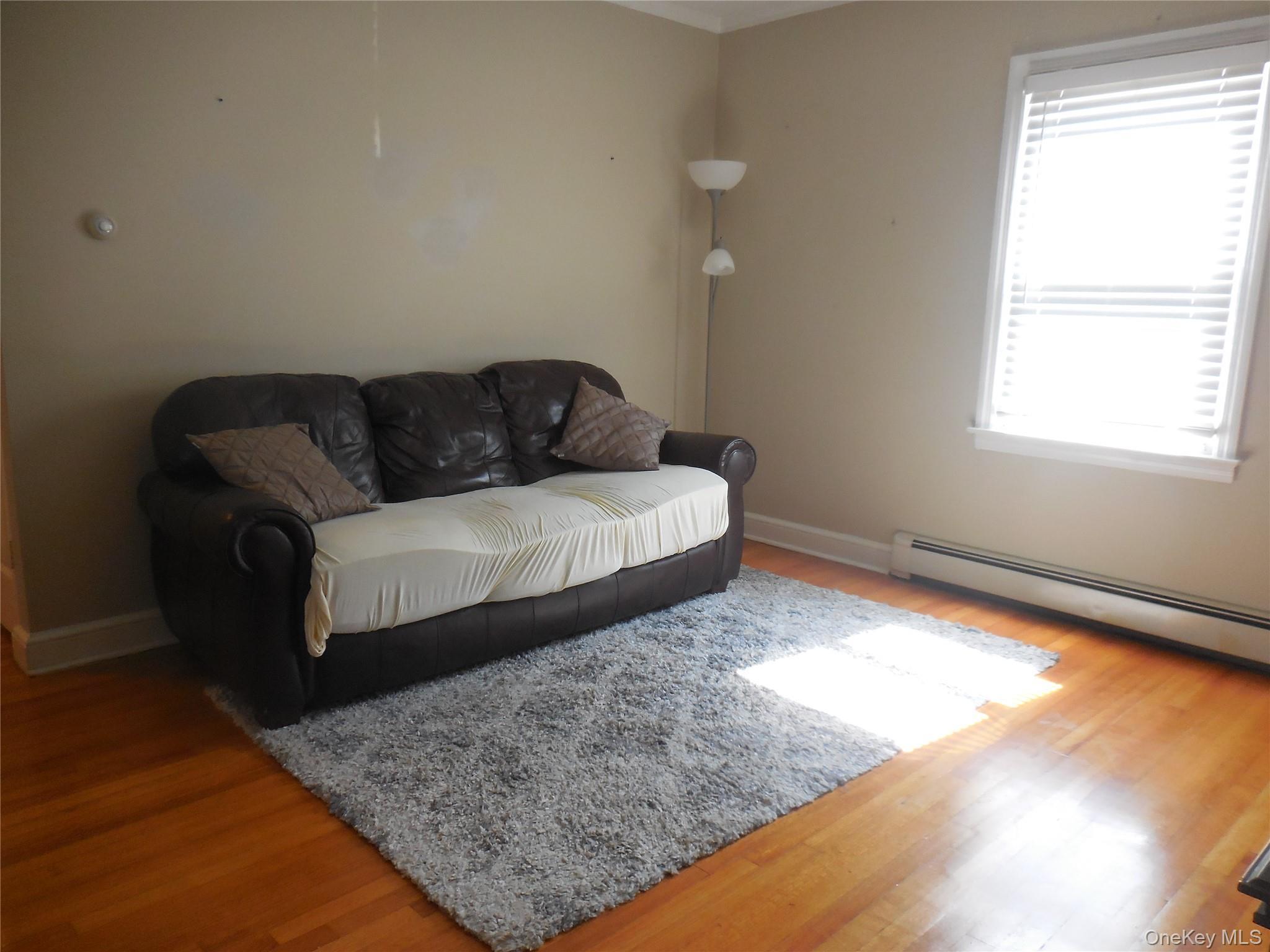 Single Family Rule Street Nassau County, NY 11010, MLS-1052205-4
