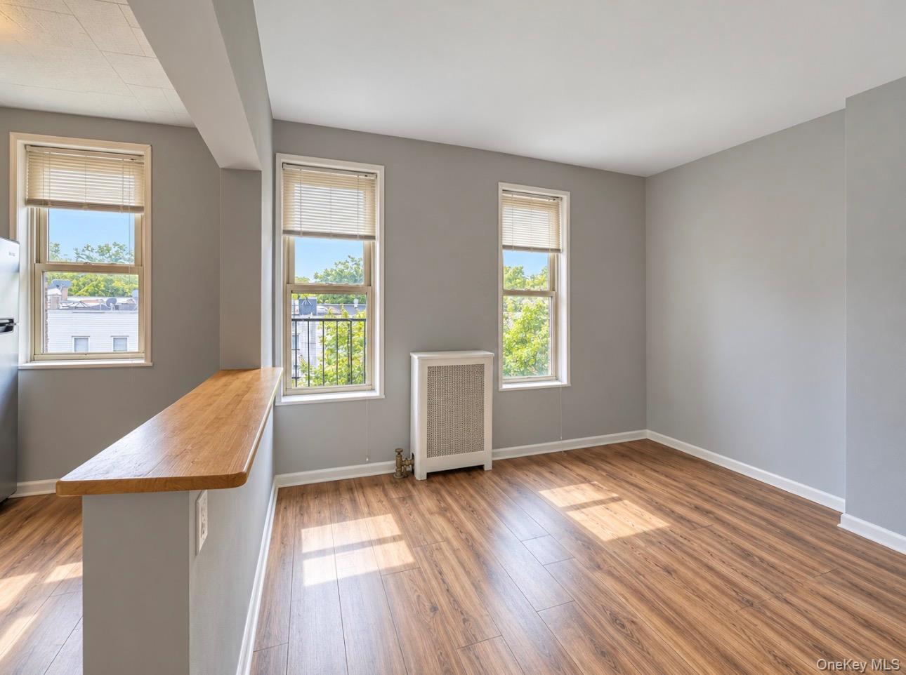 Single Family 67th Place  Queens, NY 11385, MLS-1052214-31