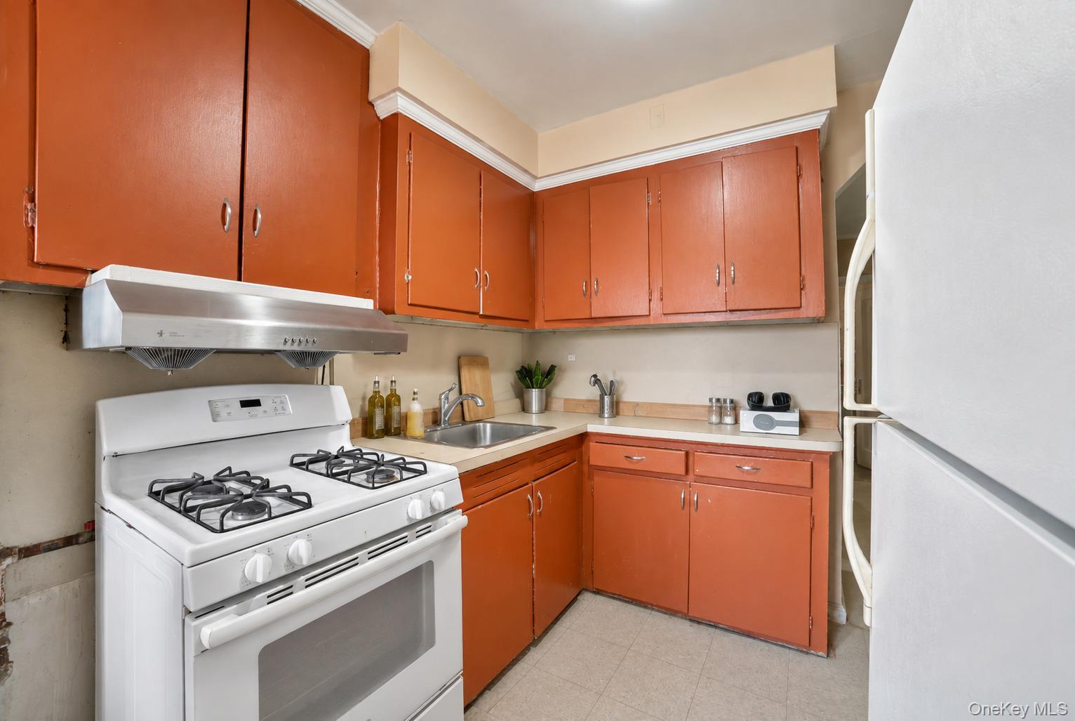Single Family Hillside Avenue Queens, NY 11427, MLS-1052223-6