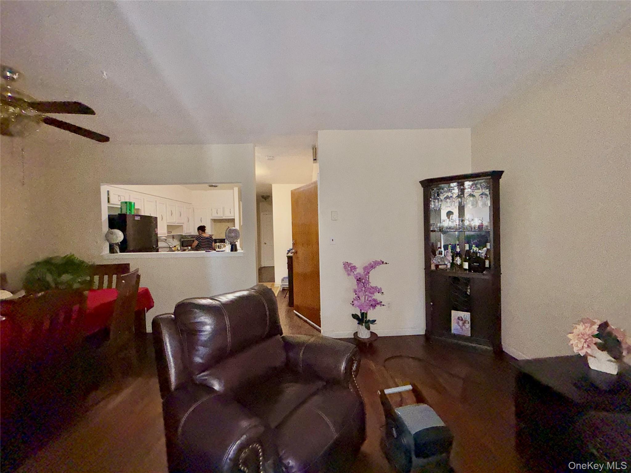 Single Family Linden Boulevard Queens, NY 11420, MLS-1052268-6