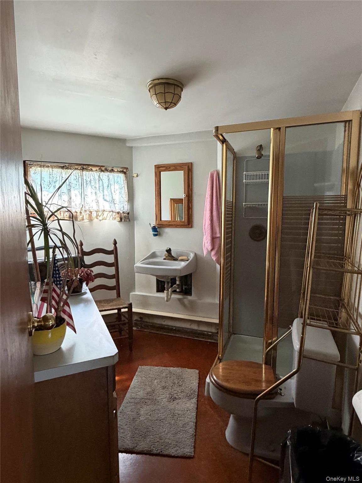 Single Family Beaver Street Suffolk County, NY 11772, MLS-1052289-12