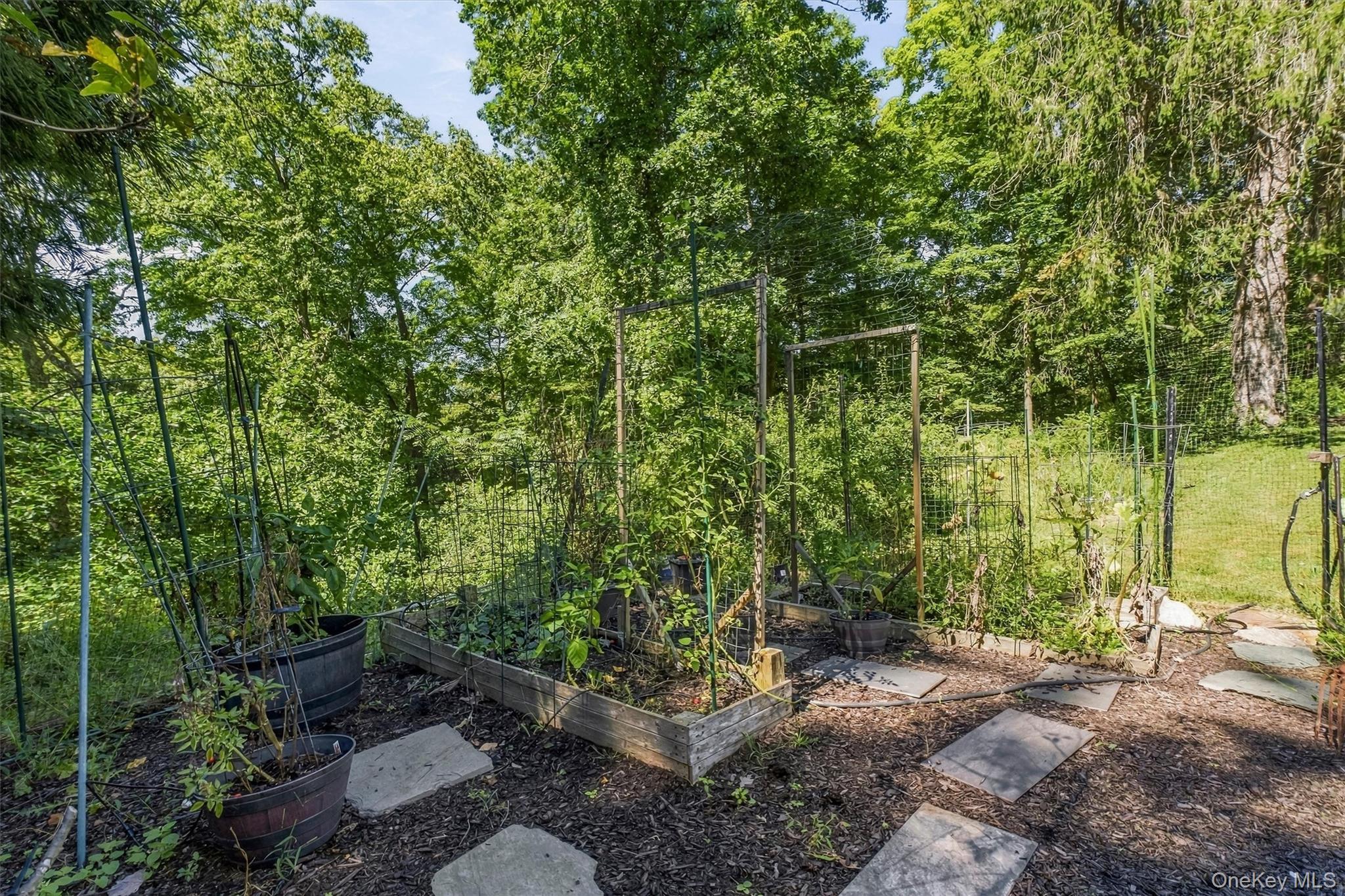 Single Family Bundy Hill Road  Dutchess County, NY 12531, MLS-1052304-27