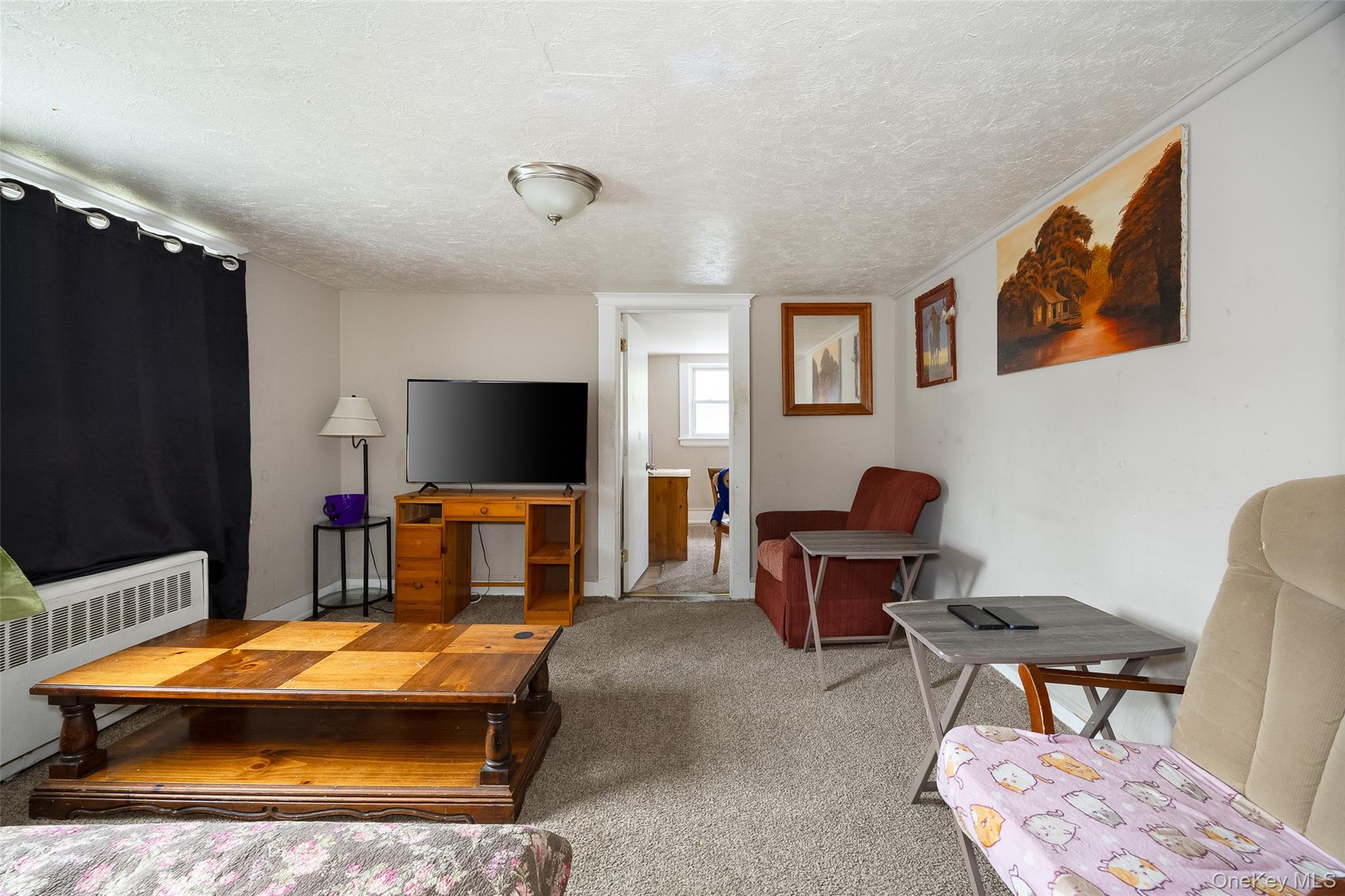 Single Family Fitchett Street Dutchess County, NY 12601, MLS-1052472-15