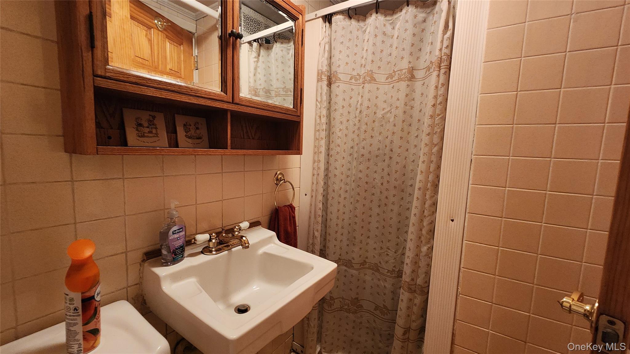 Single Family Kneeland Avenue  Queens, NY 11373, MLS-1052498-24