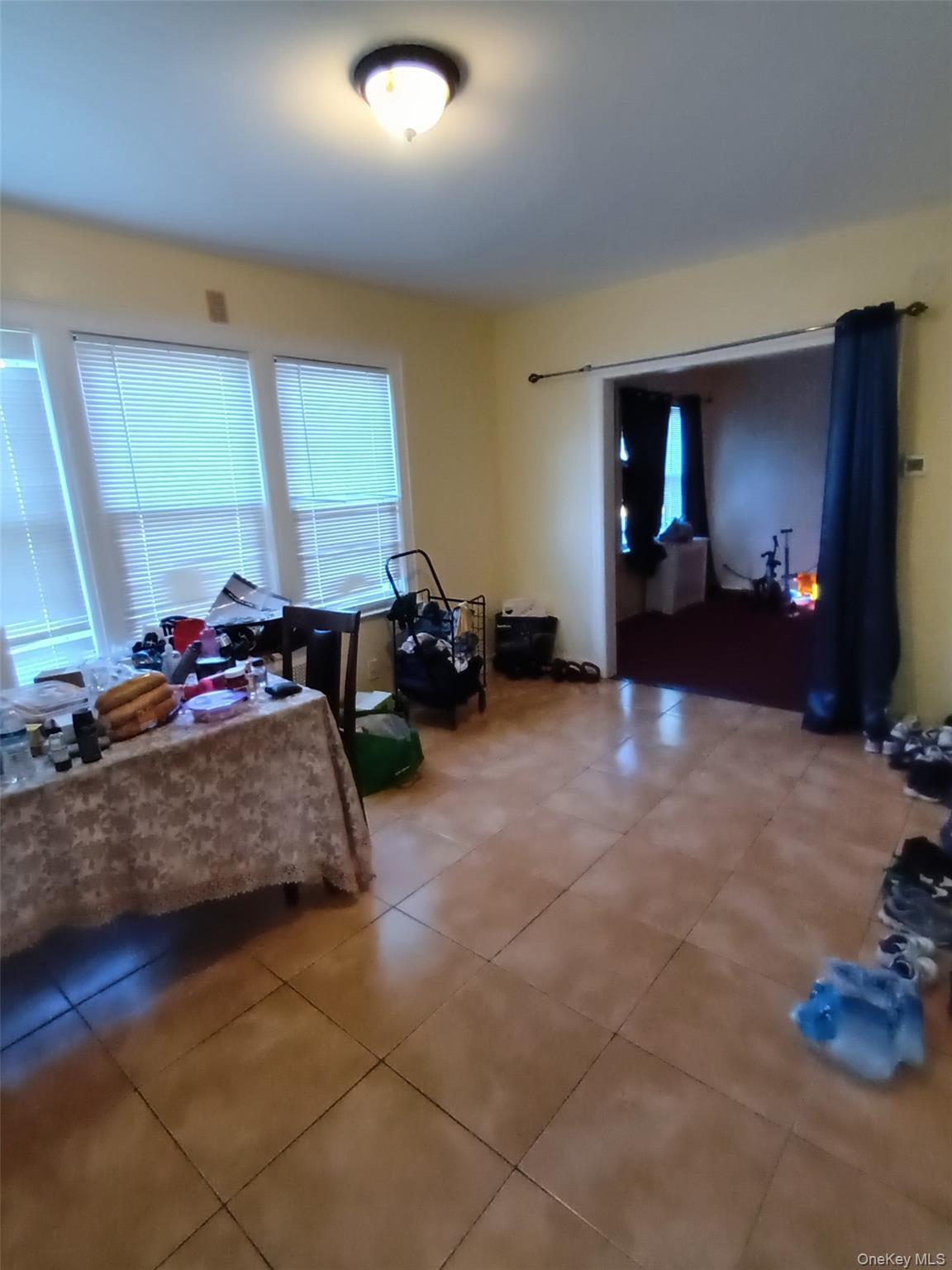 Single Family 137th Avenue  Queens, NY 11434, MLS-1052512-6