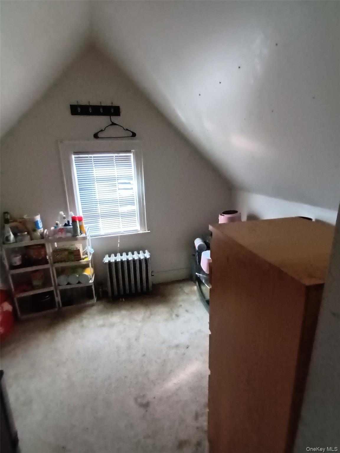 Single Family 137th Avenue  Queens, NY 11434, MLS-1052512-8