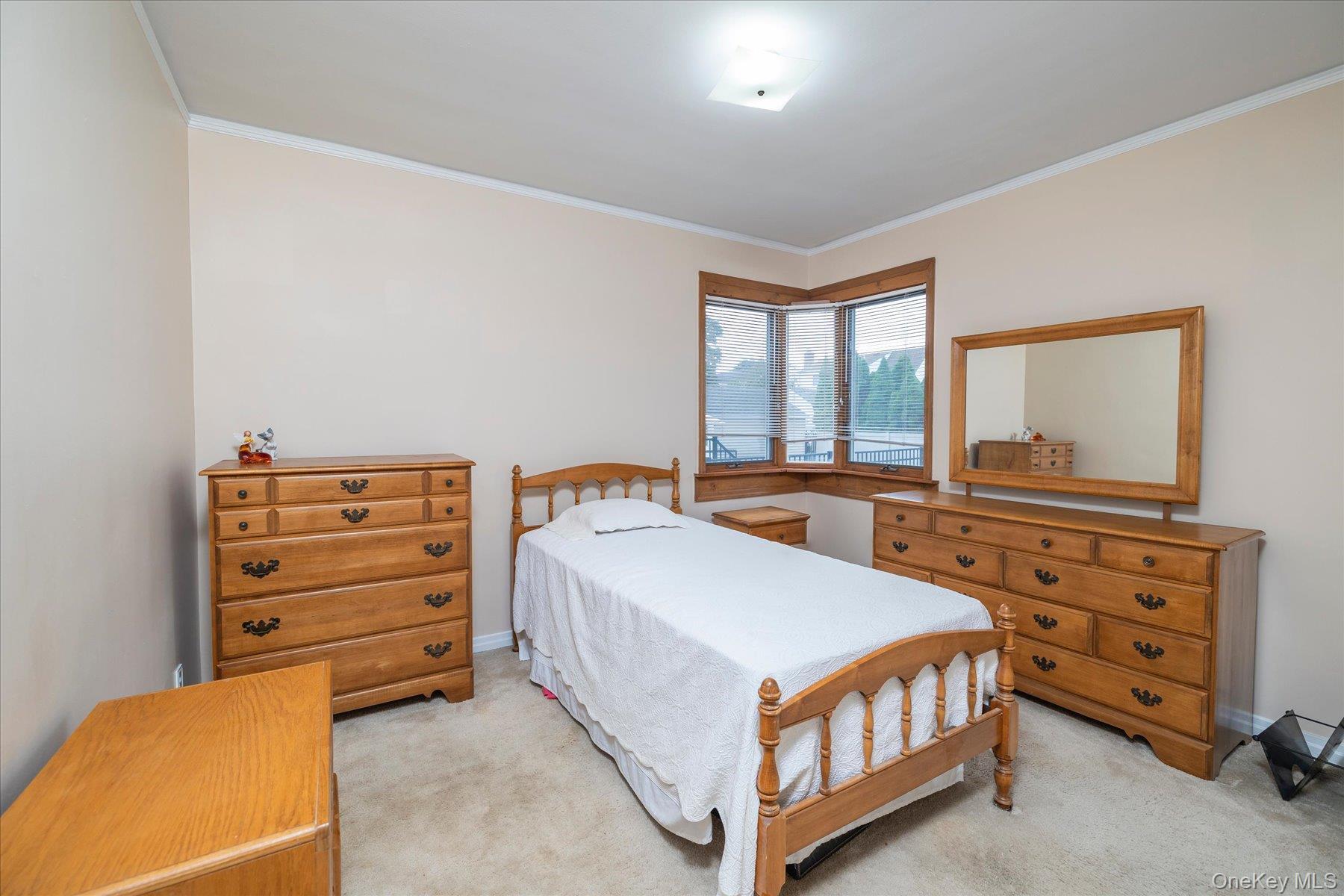 Single Family Woods Avenue  Nassau County, NY 11565, MLS-1052514-11