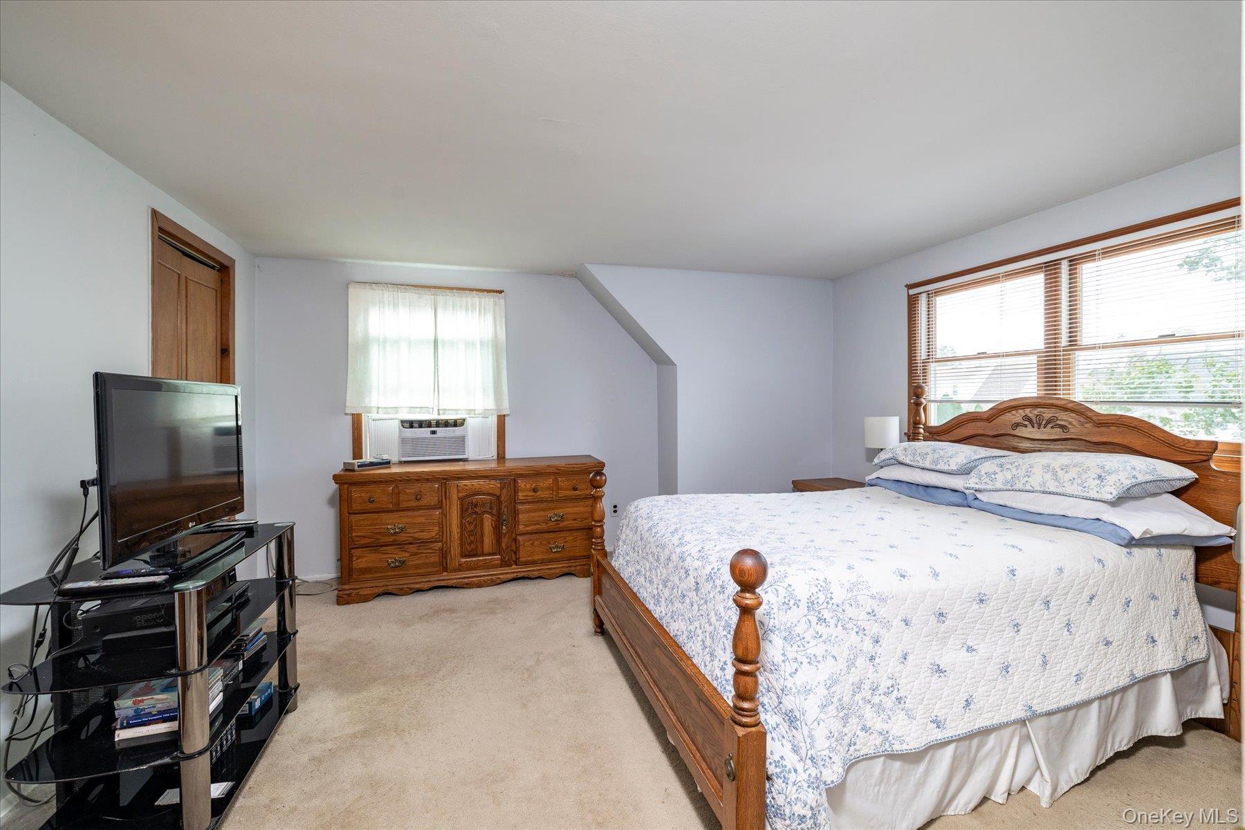 Single Family Woods Avenue  Nassau County, NY 11565, MLS-1052514-12