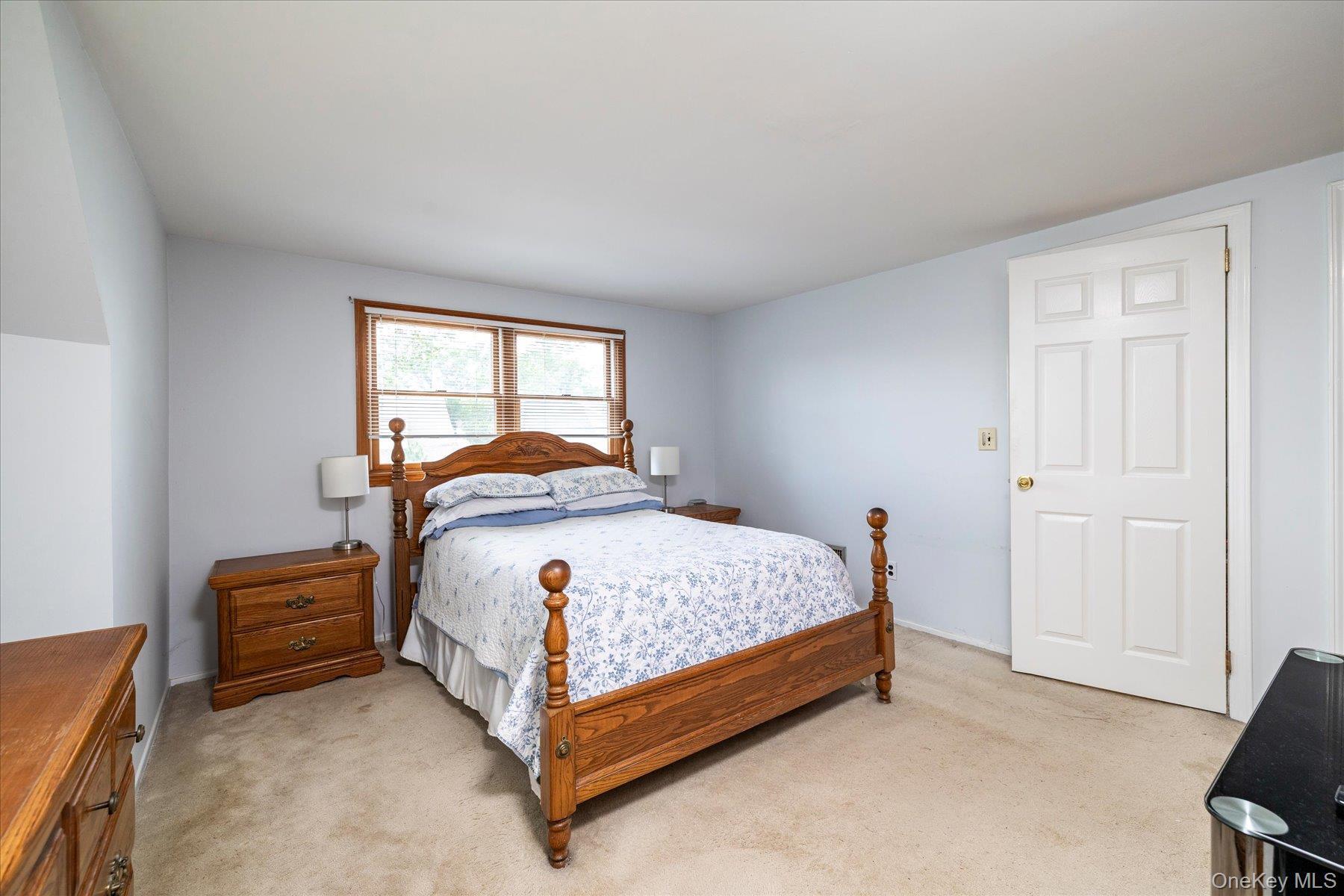 Single Family Woods Avenue  Nassau County, NY 11565, MLS-1052514-13