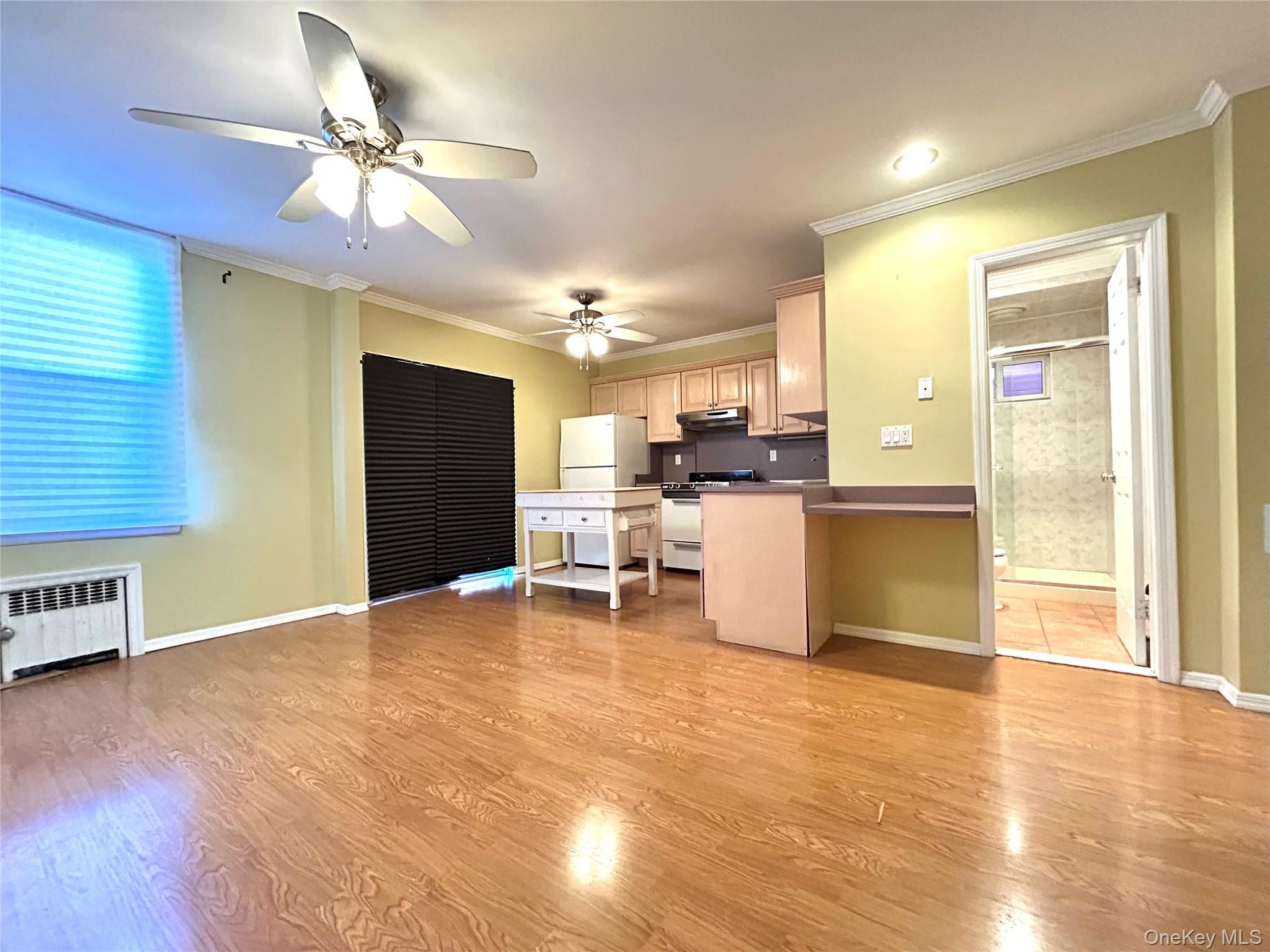 Single Family 56th Drive Queens, NY 11378, MLS-1052575-3