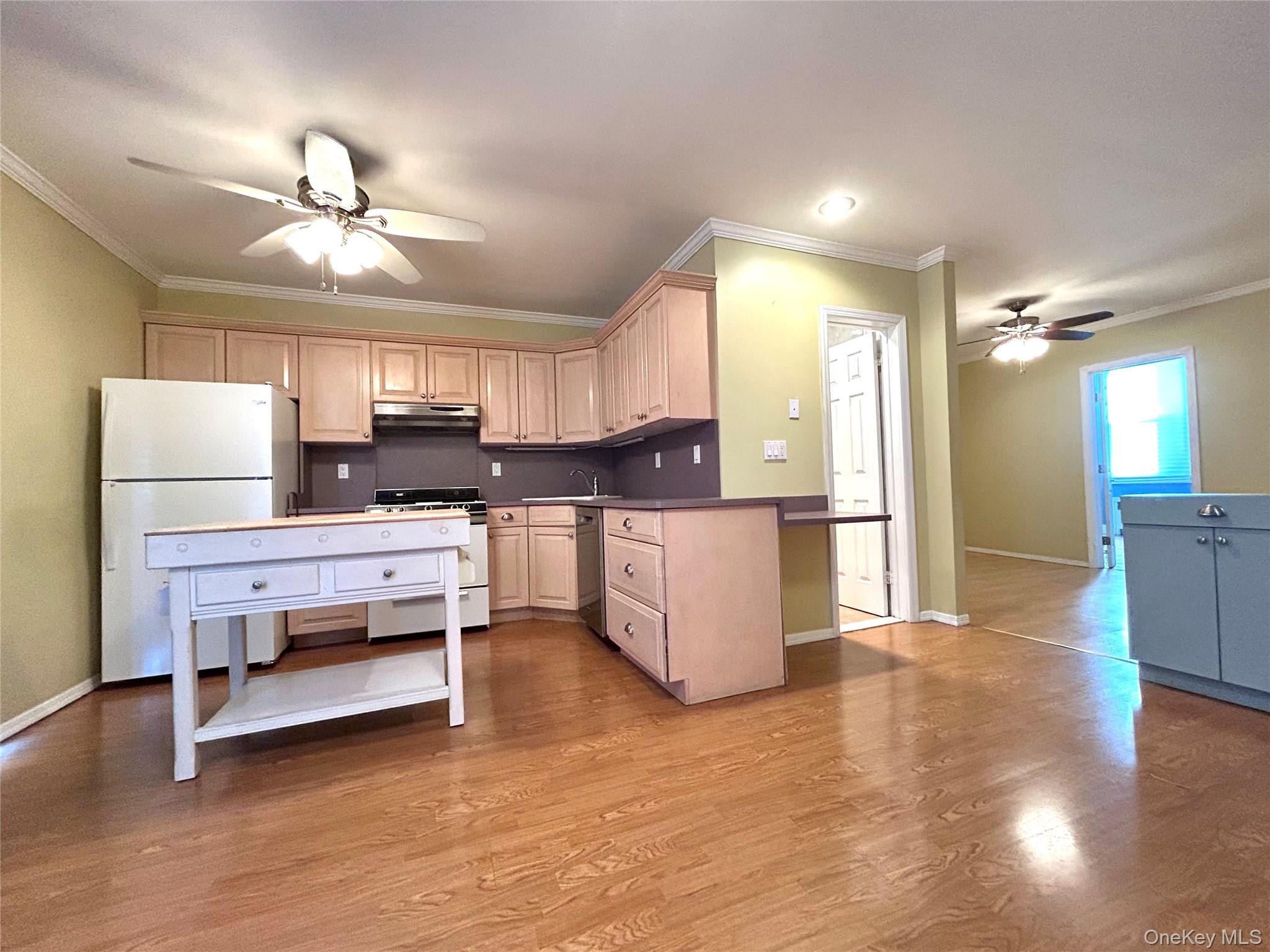 Single Family 56th Drive Queens, NY 11378, MLS-1052575-4
