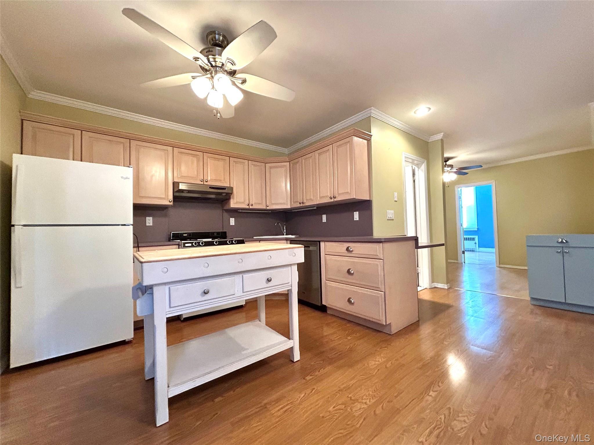 Single Family 56th Drive Queens, NY 11378, MLS-1052575-5