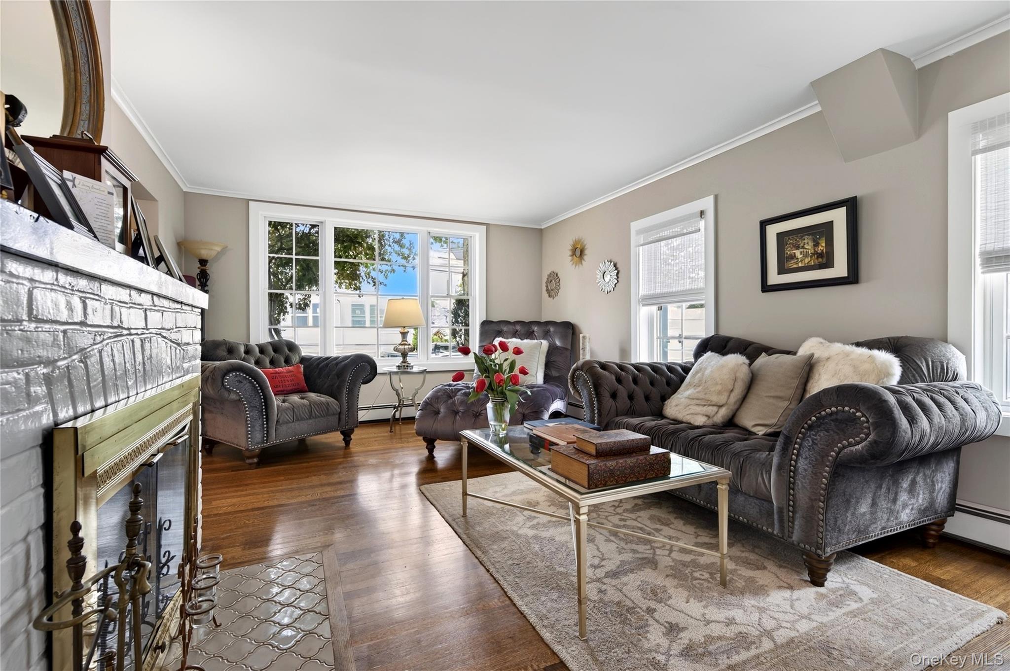 Single Family Lewis Avenue Nassau County, NY 11590, MLS-1052590-5