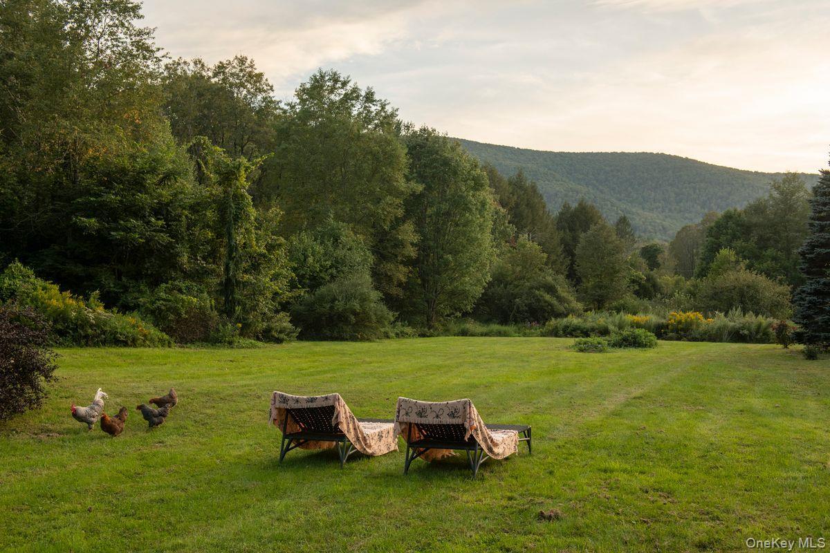 Single Family Van Road Greene County, NY 12452, MLS-1052687-3