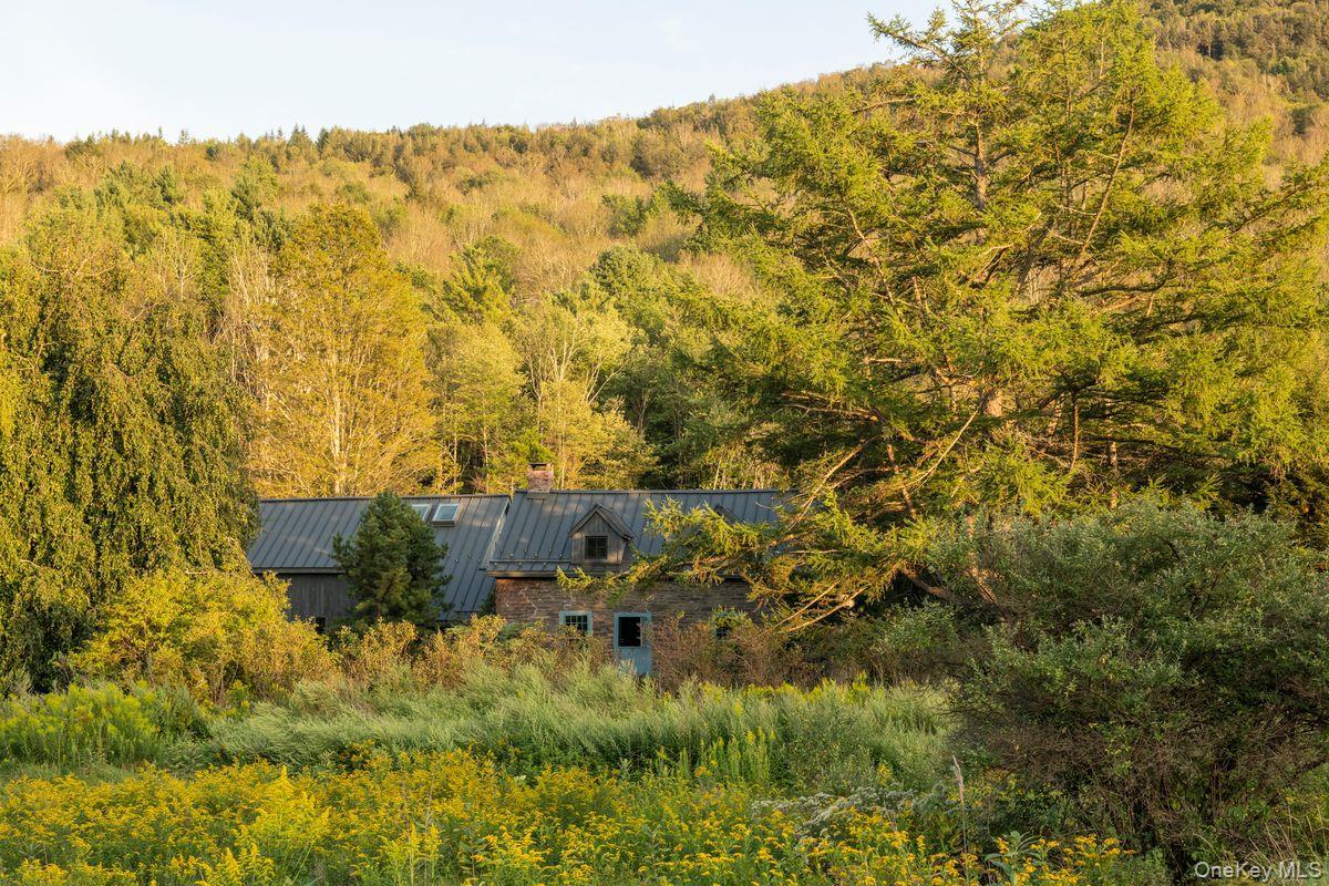 Single Family Van Road  Greene County, NY 12452, MLS-1052687-41