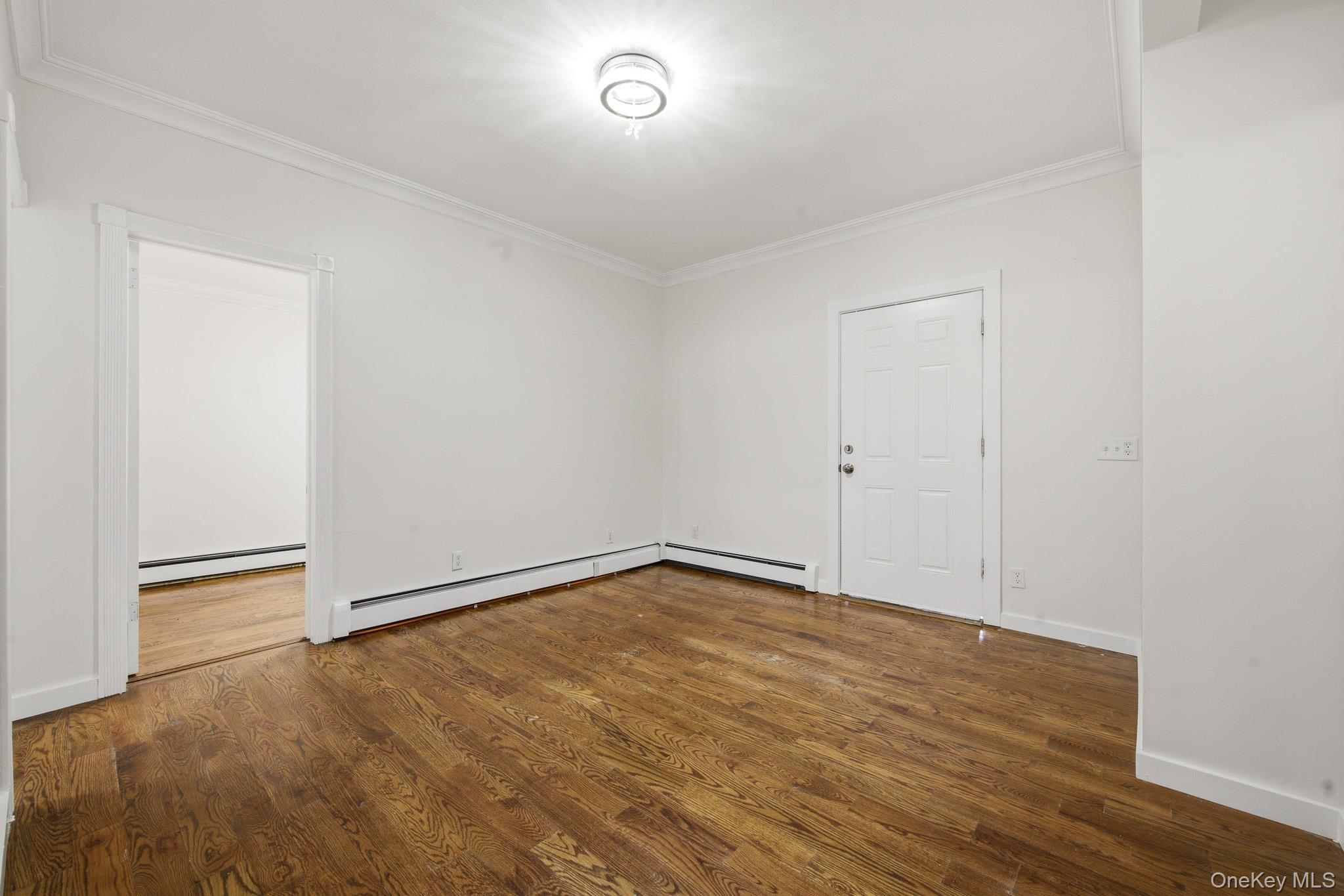 Single Family Elm Avenue Nassau County, NY 11550, MLS-1052710-11