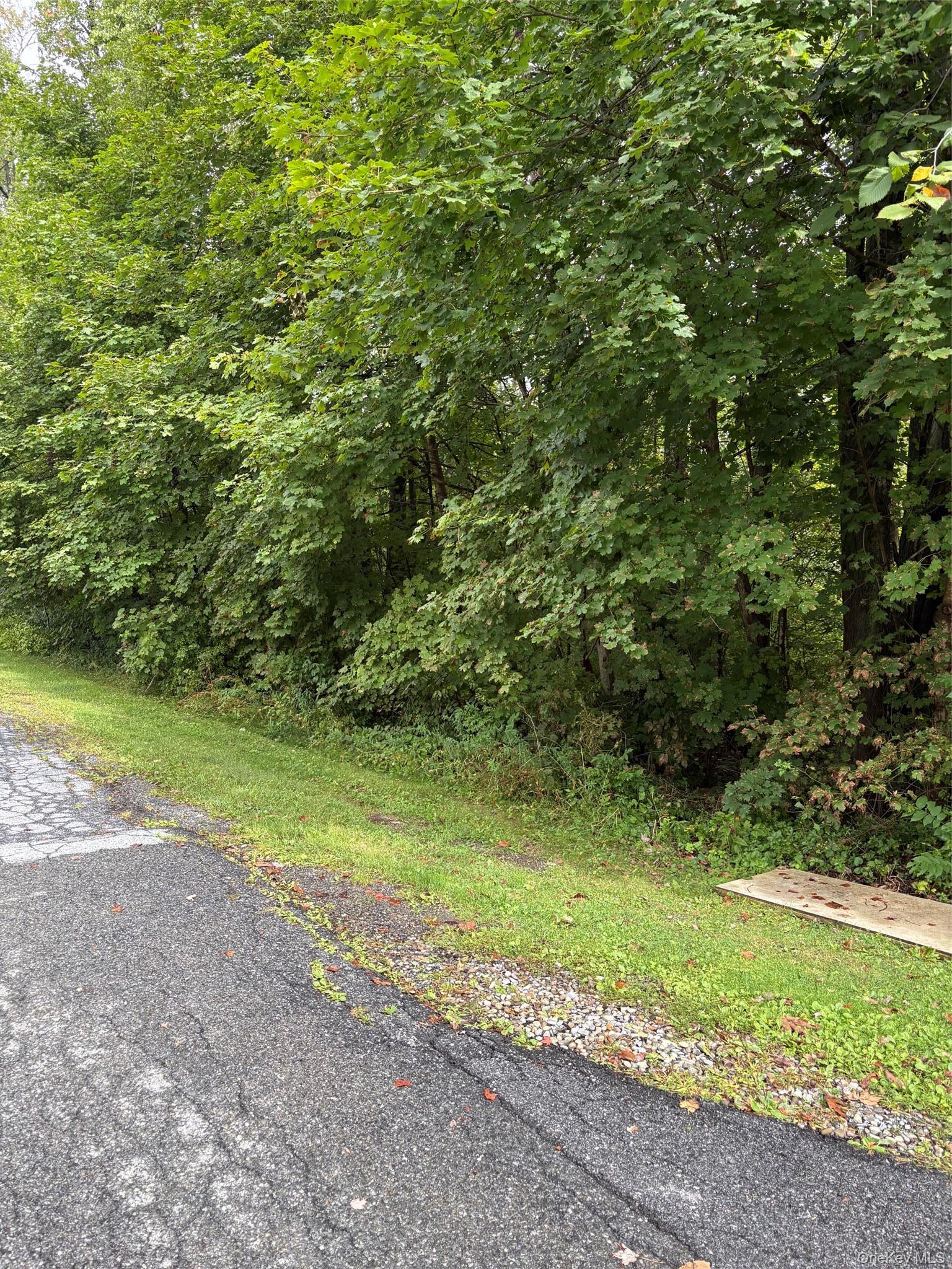 Single Family Cardinal Rd #89  Dutchess County, NY 12538, MLS-1052730-22