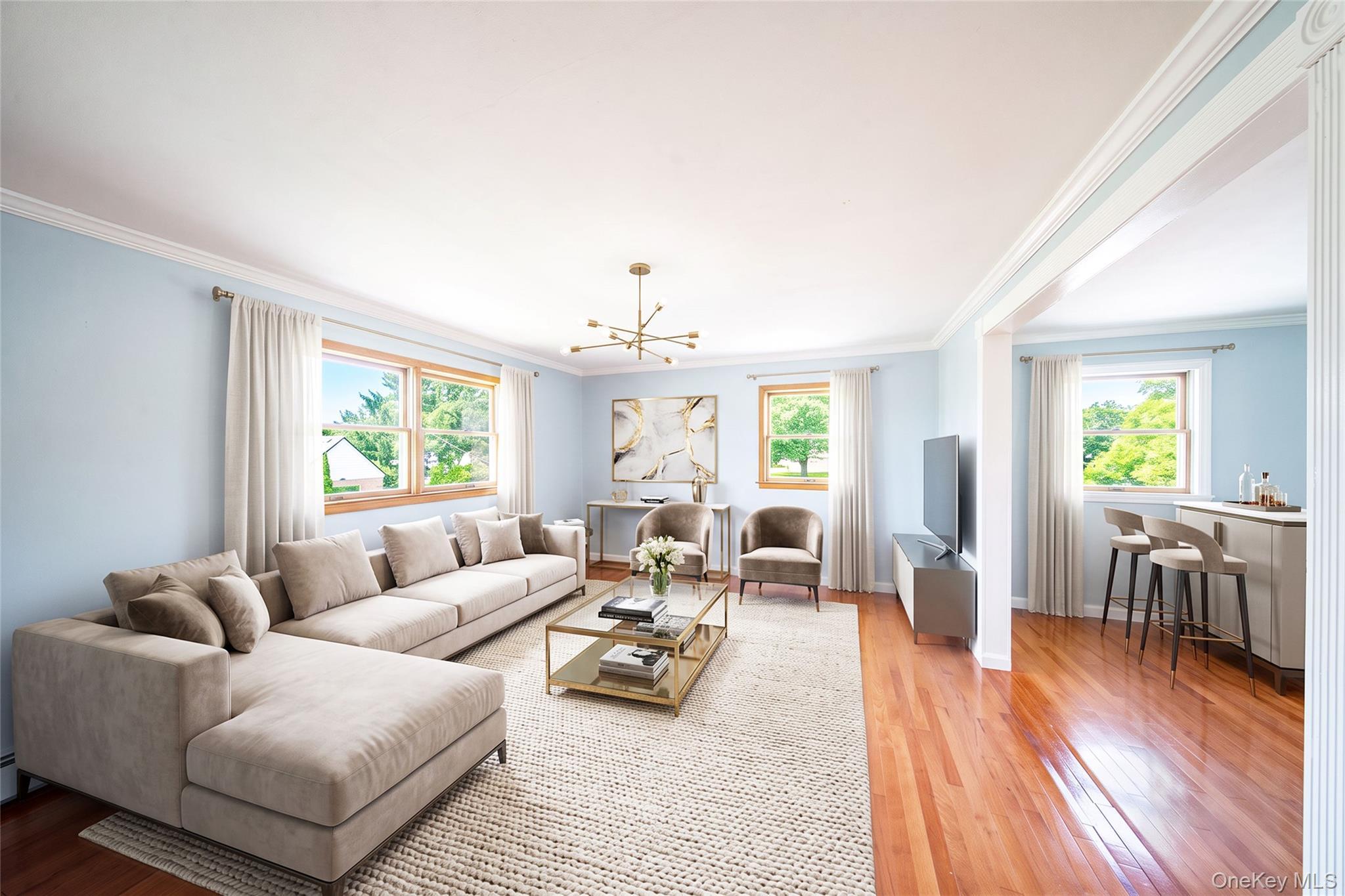 Single Family Nevada Street  Nassau County, NY 11801, MLS-1052749-13