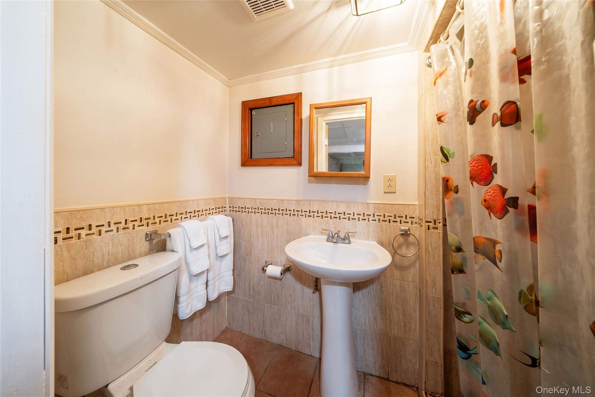 Single Family Nevada Street  Nassau County, NY 11801, MLS-1052749-34
