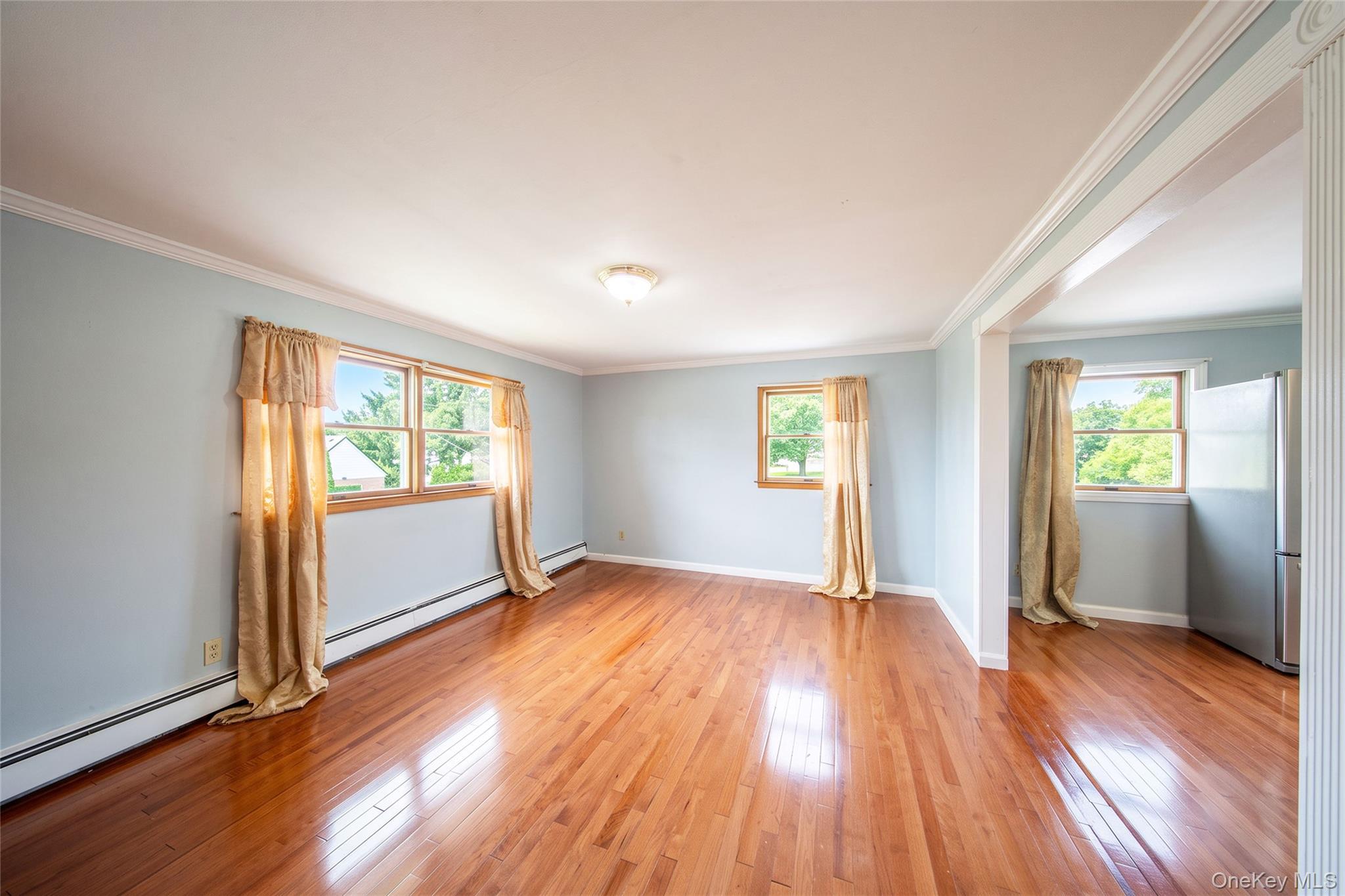 Single Family Nevada Street  Nassau County, NY 11801, MLS-1052749-47