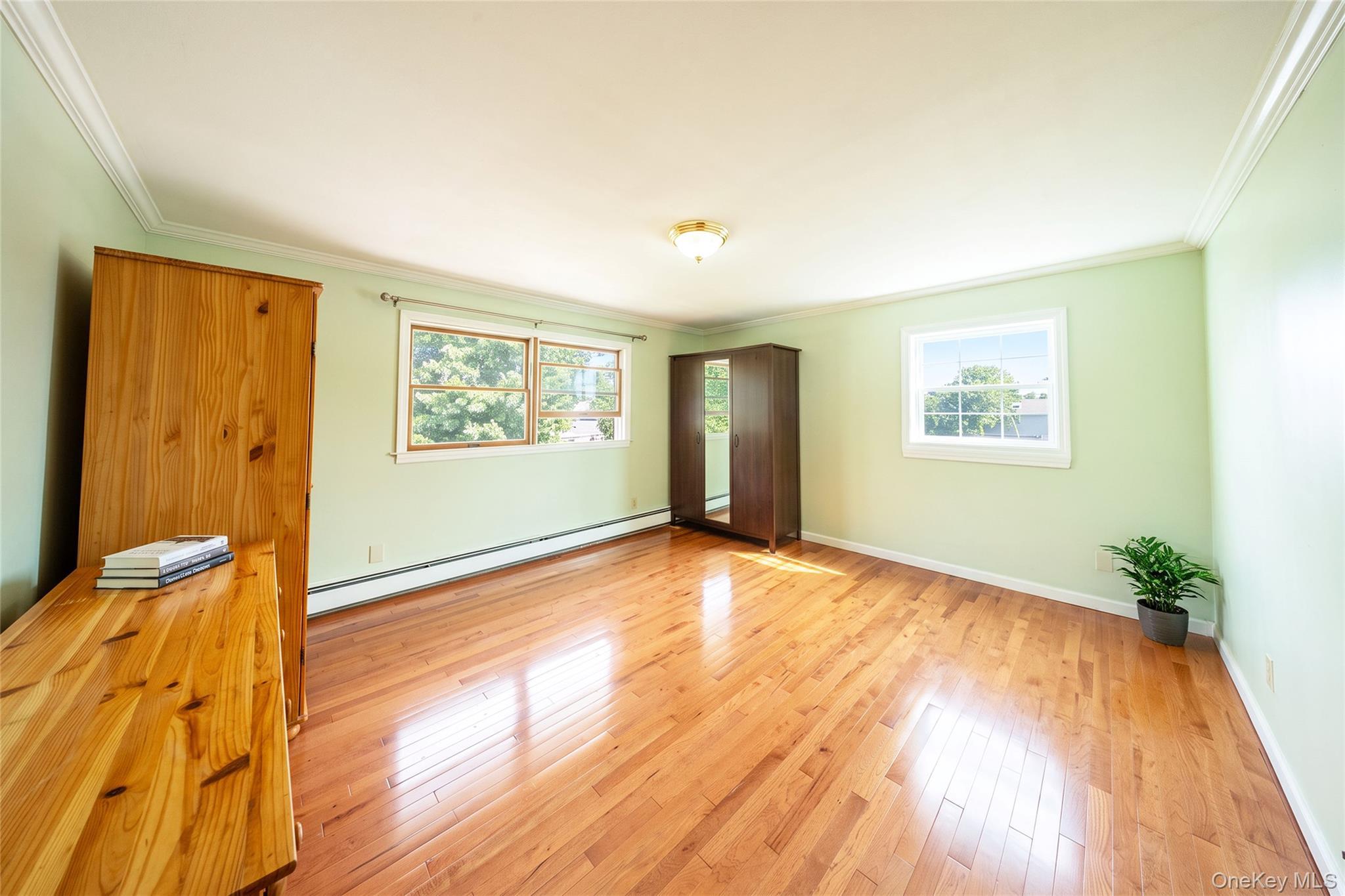 Single Family Nevada Street  Nassau County, NY 11801, MLS-1052749-48