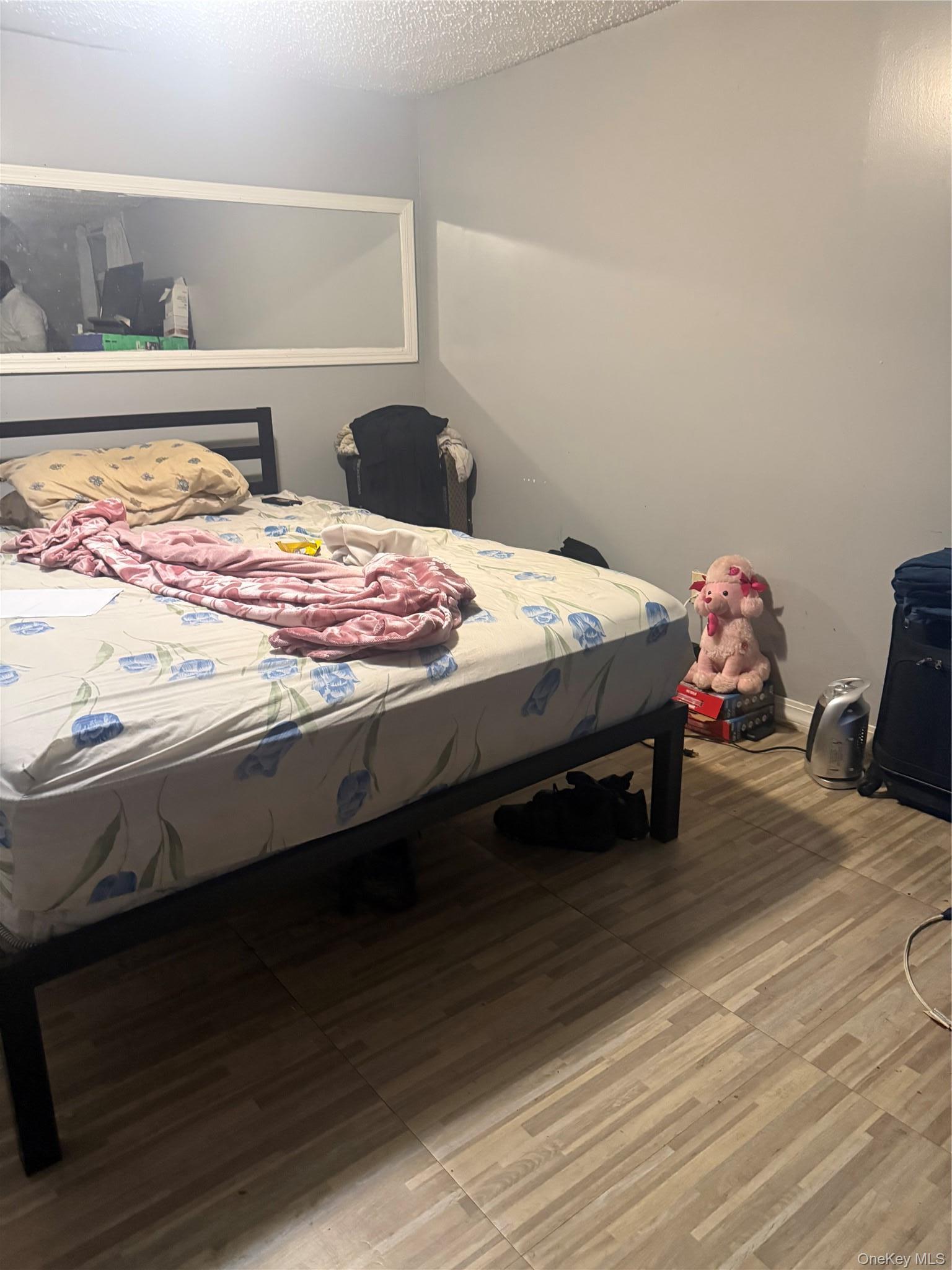 Single Family Alabama Avenue Brooklyn, NY 11207, MLS-1052771-10