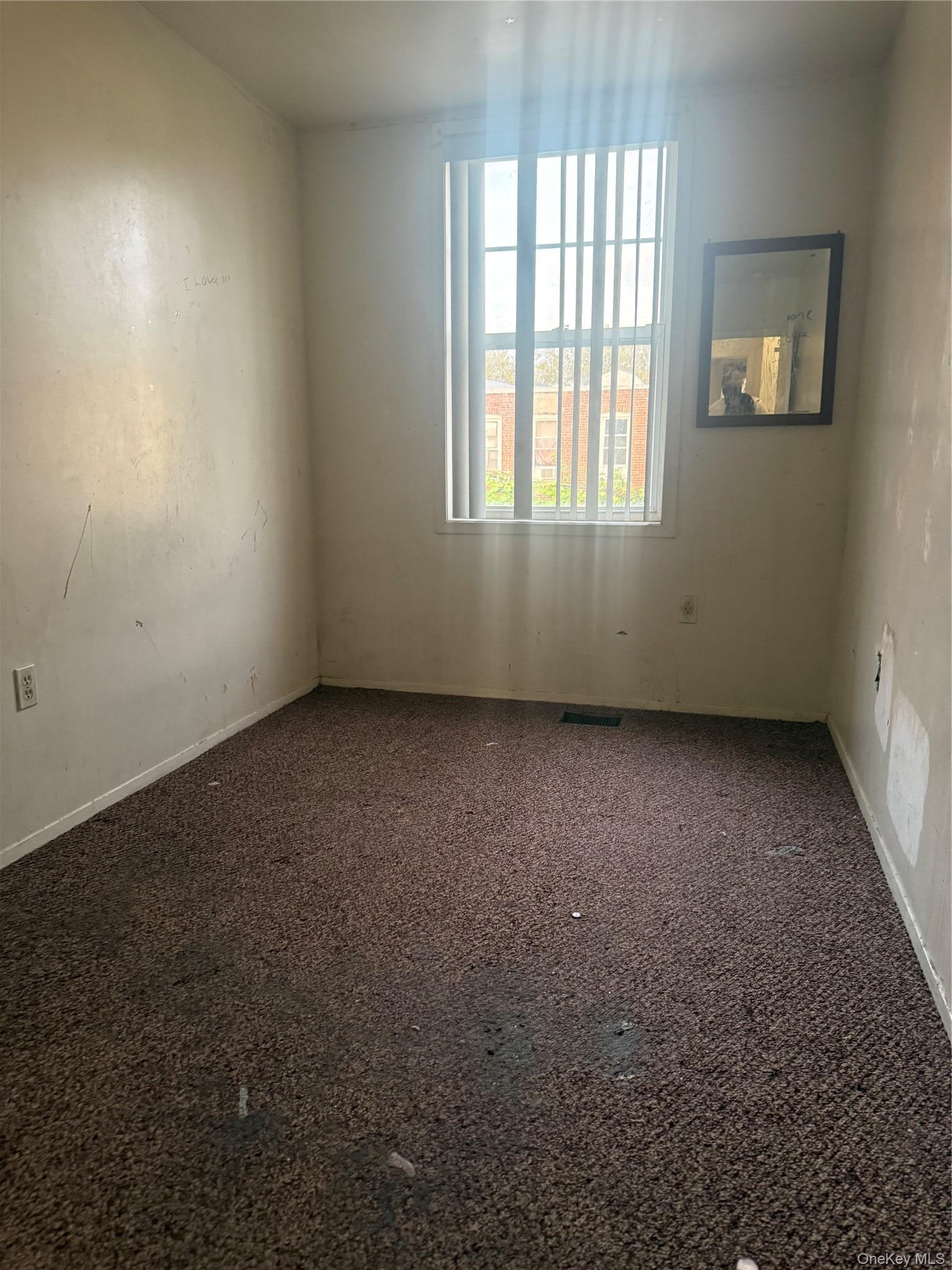 Single Family Alabama Avenue Brooklyn, NY 11207, MLS-1052771-3