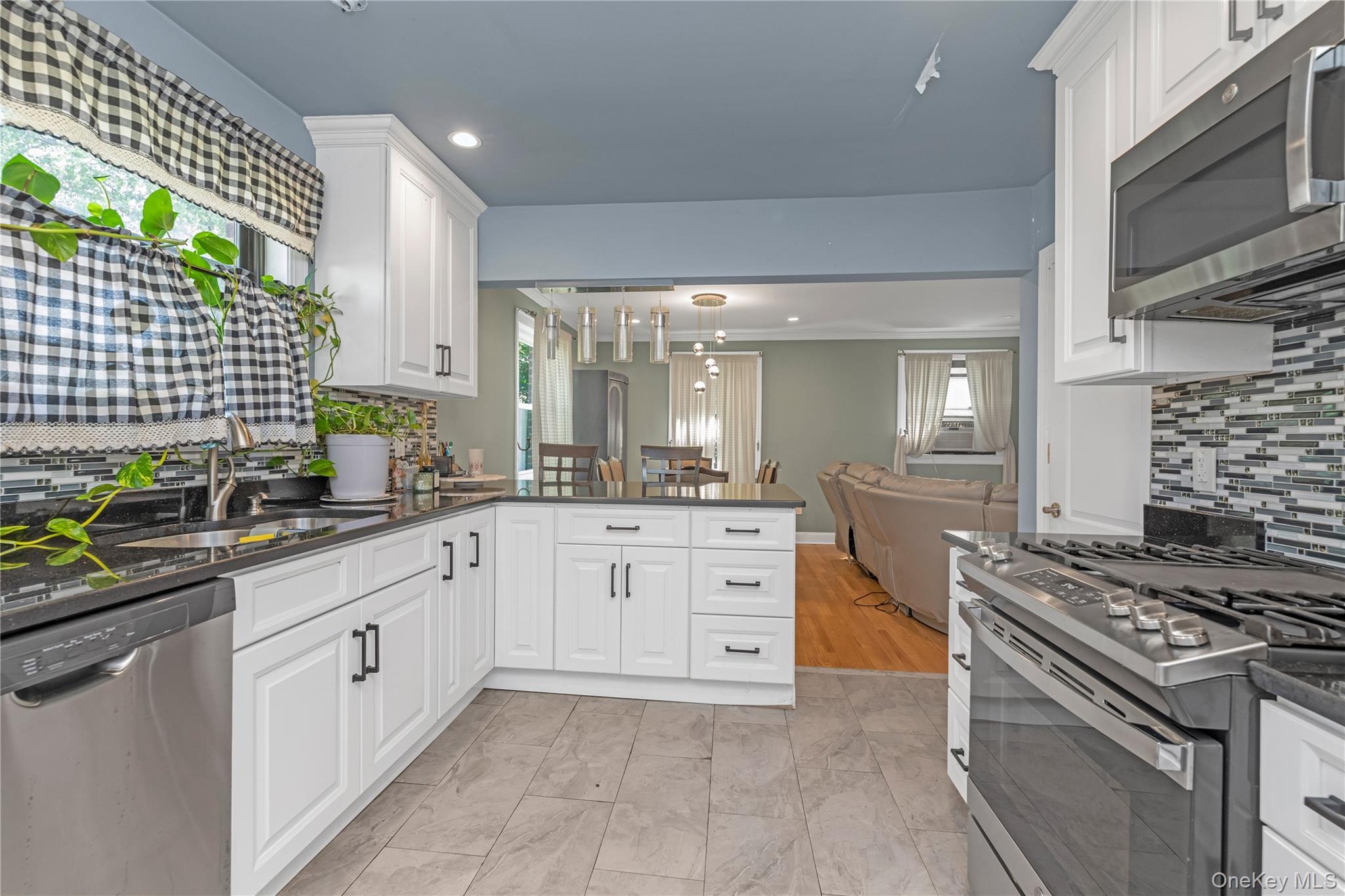Single Family 100th Avenue Queens, NY 11423, MLS-1052791-8