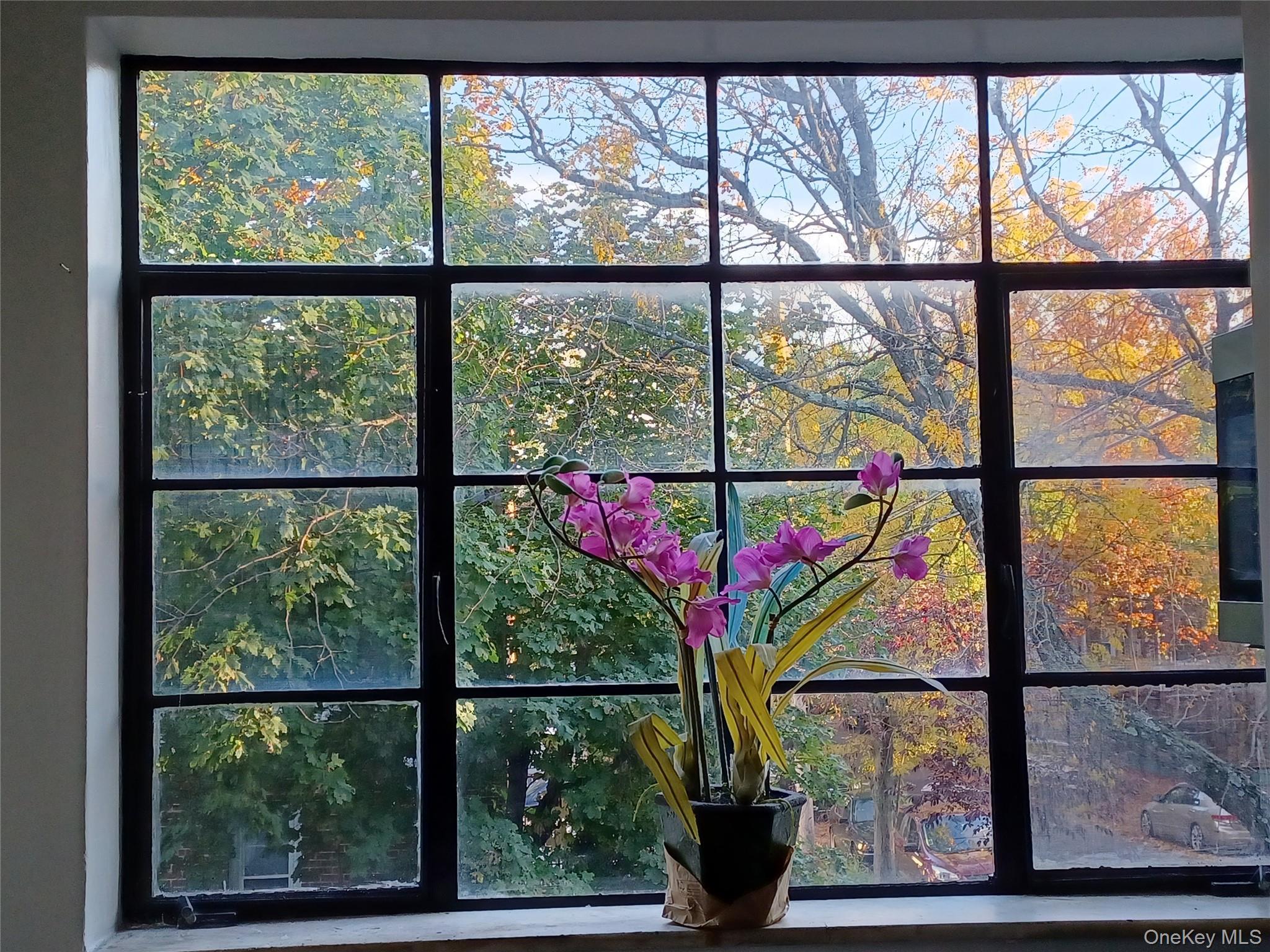 Single Family Pitman Avenue  Bronx, NY 10466, MLS-1052864-13