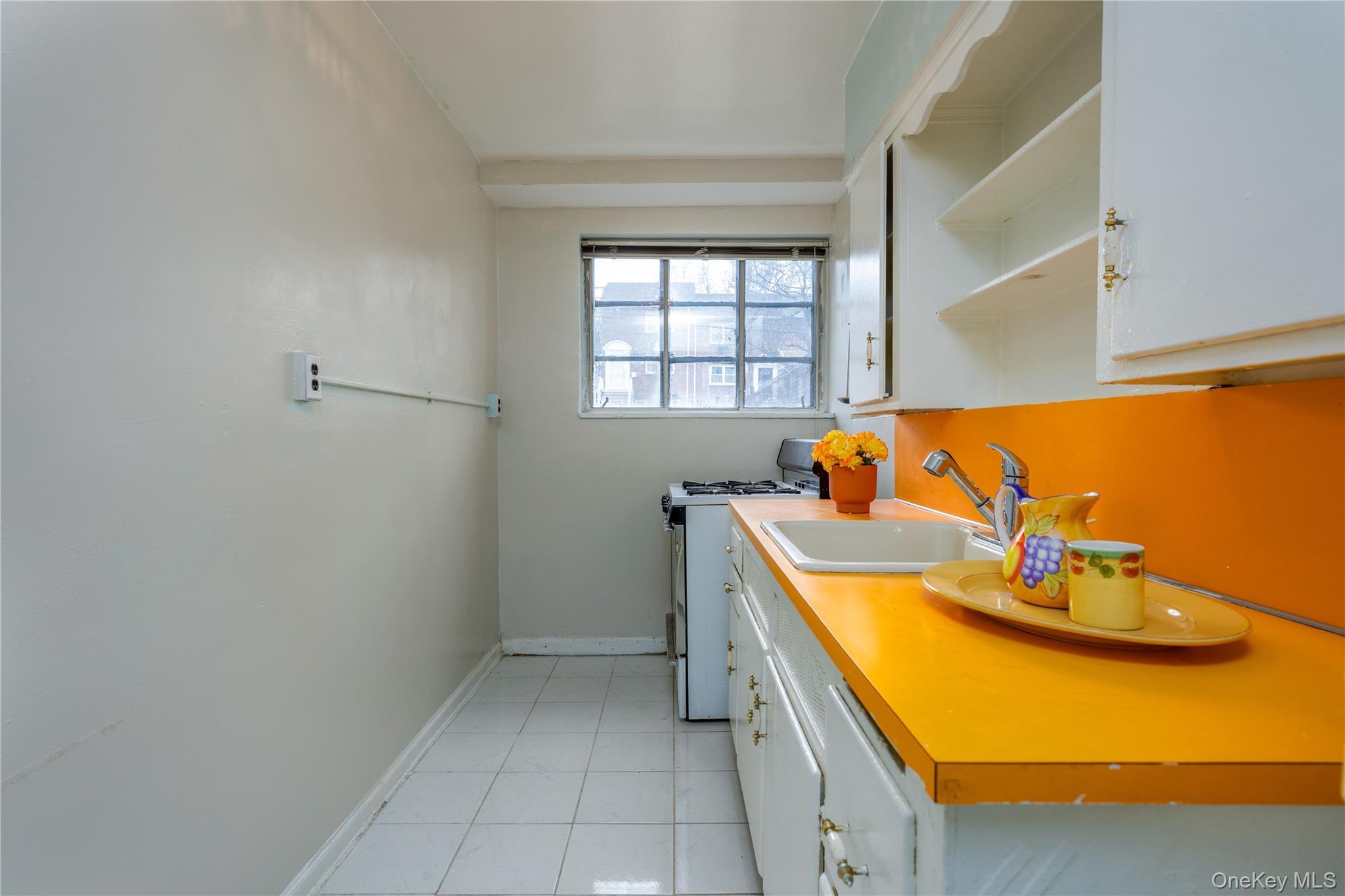 Single Family Pitman Avenue  Bronx, NY 10466, MLS-1052864-22