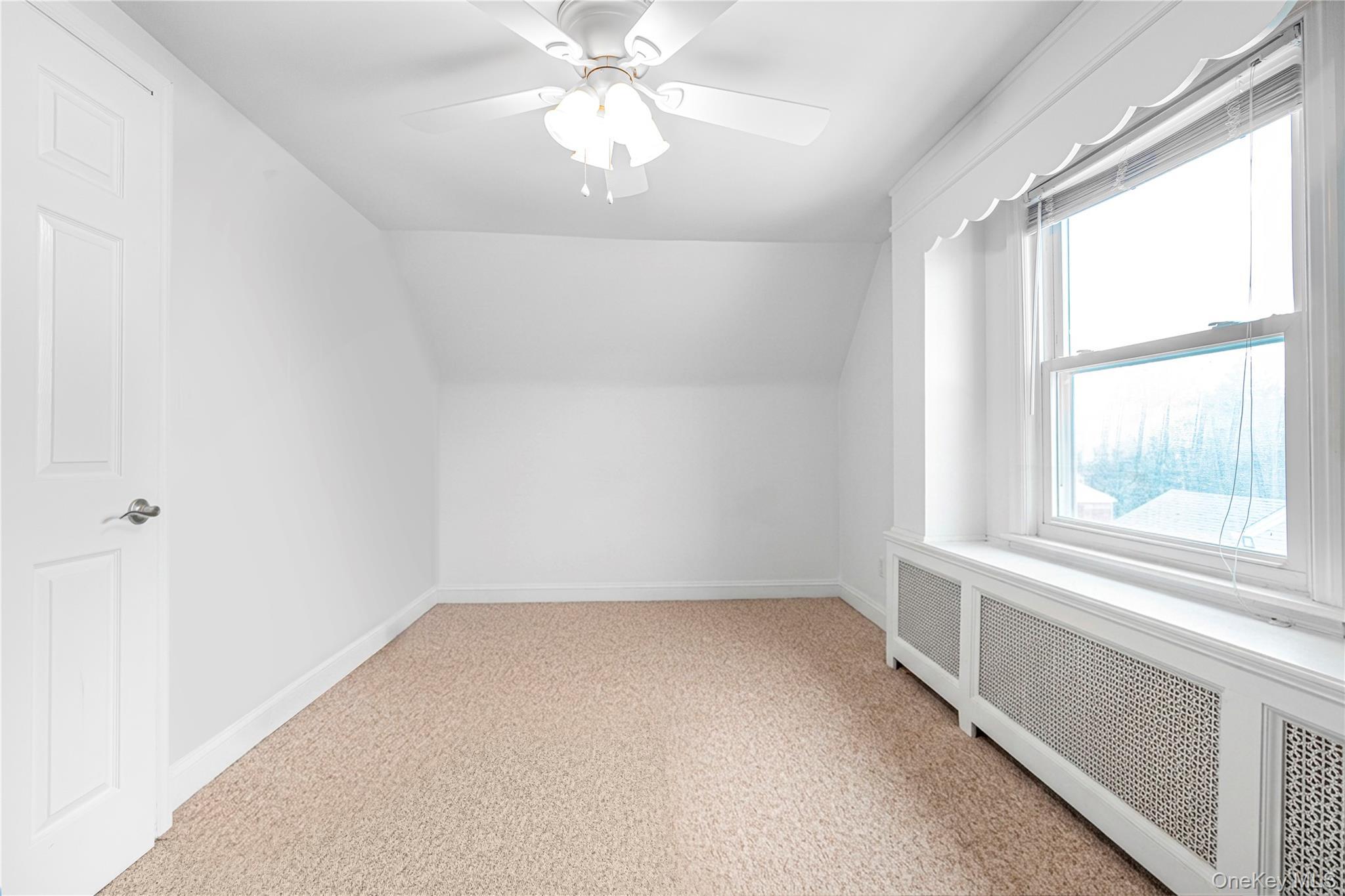 Single Family Raff Avenue Nassau County, NY 11501, MLS-1052920-13