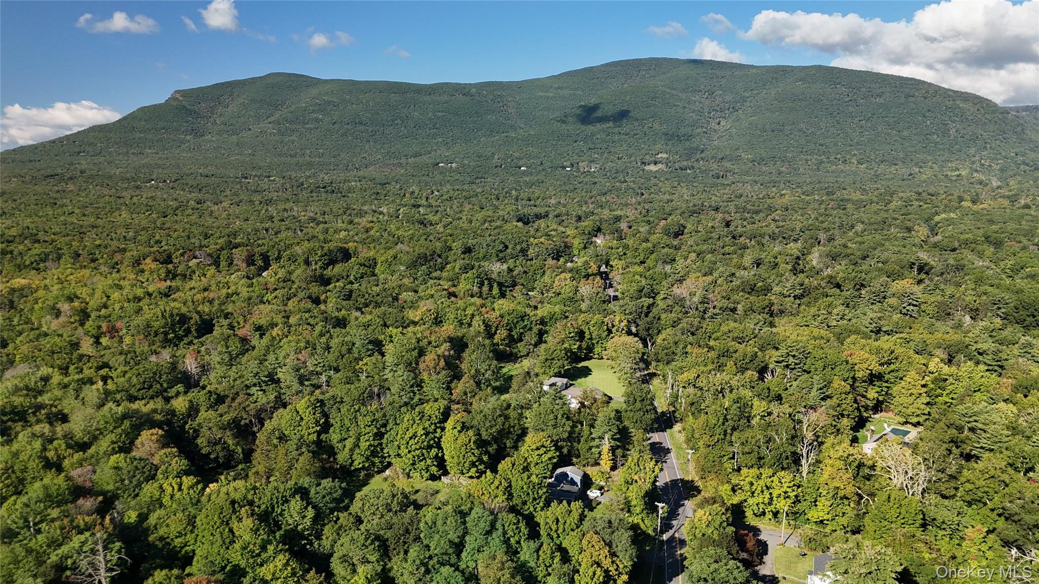 Single Family W Saugerties Road Ulster County, NY 12477, MLS-1052940-4