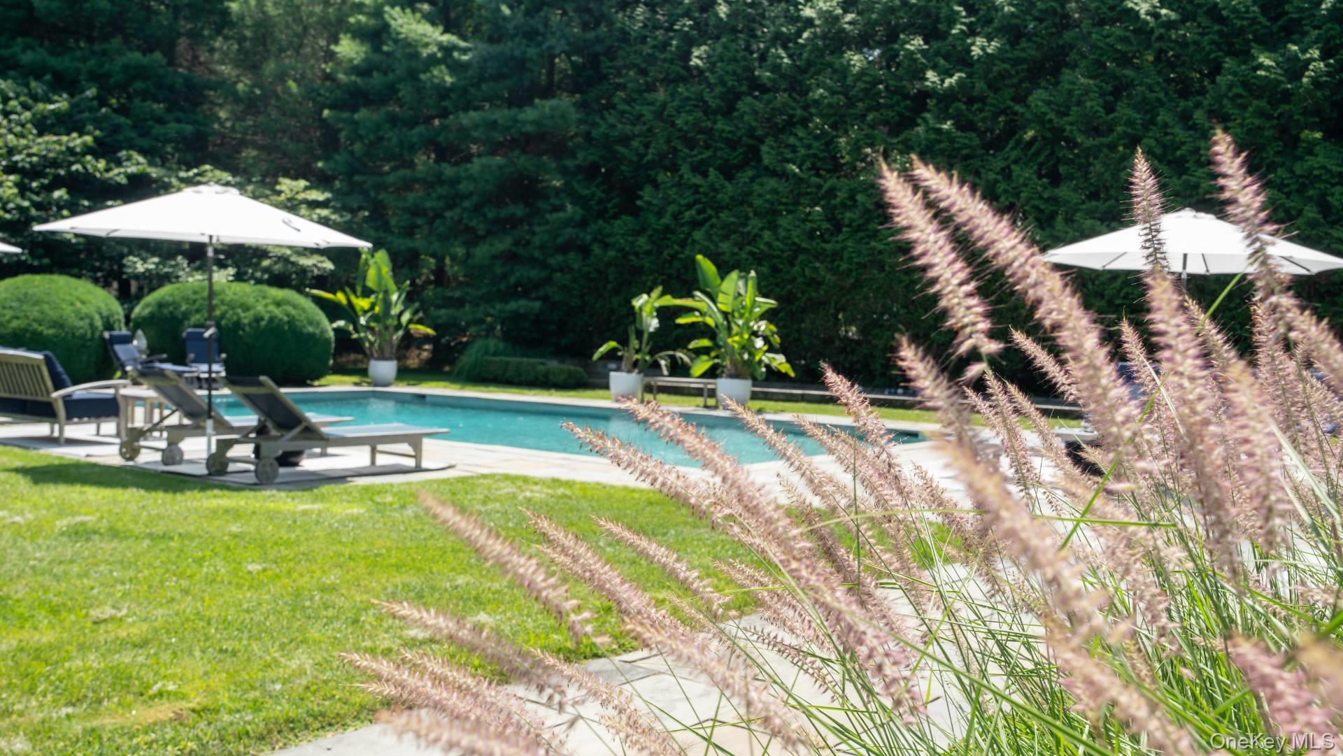 Single Family Georgica Road  Suffolk County, NY 11937, MLS-1052978-9