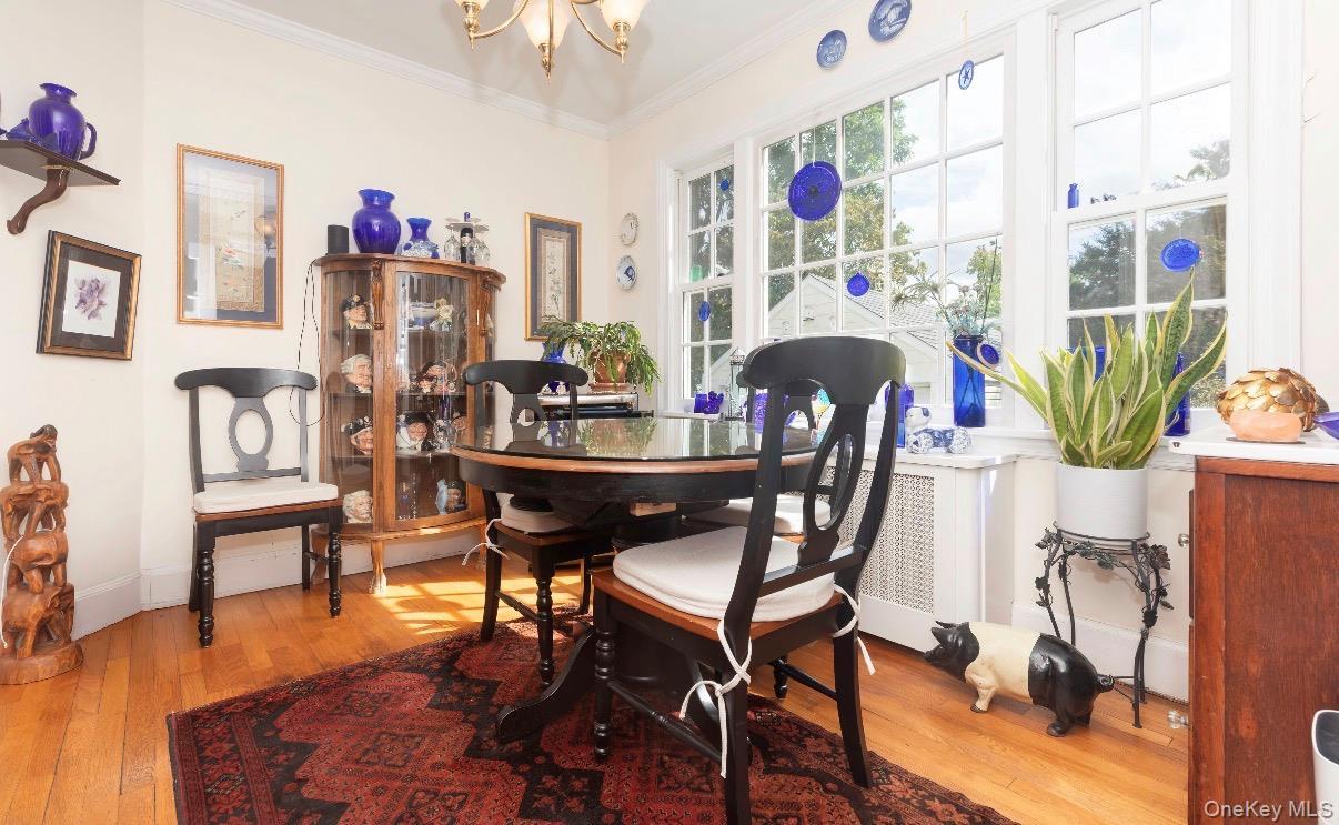 Single Family Pilot Street Bronx, NY 10464, MLS-1053057-15