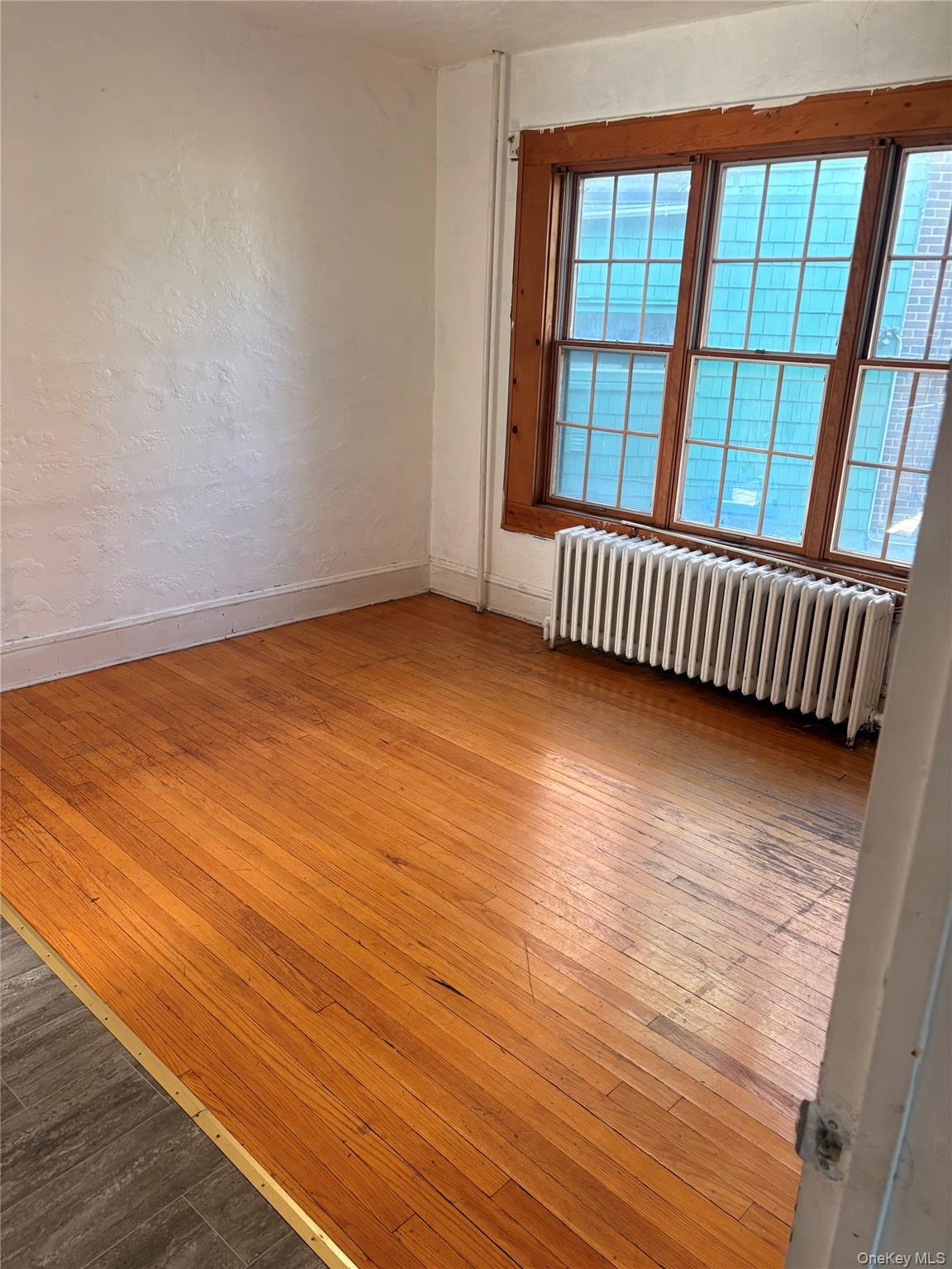 Single Family View Avenue  Albany County, NY 12209, MLS-1053088-24