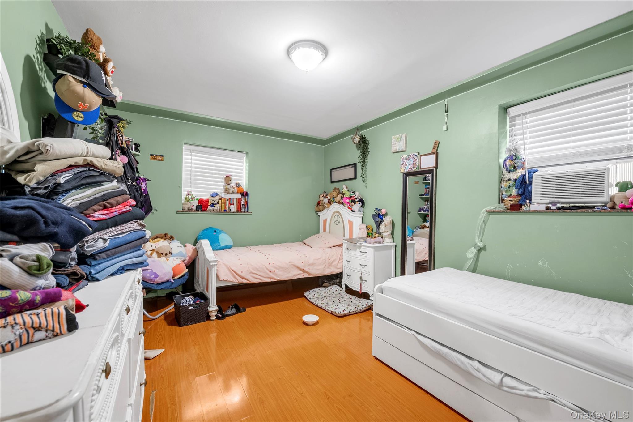 Single Family 123rd Street  Queens, NY 11354, MLS-1053246-15