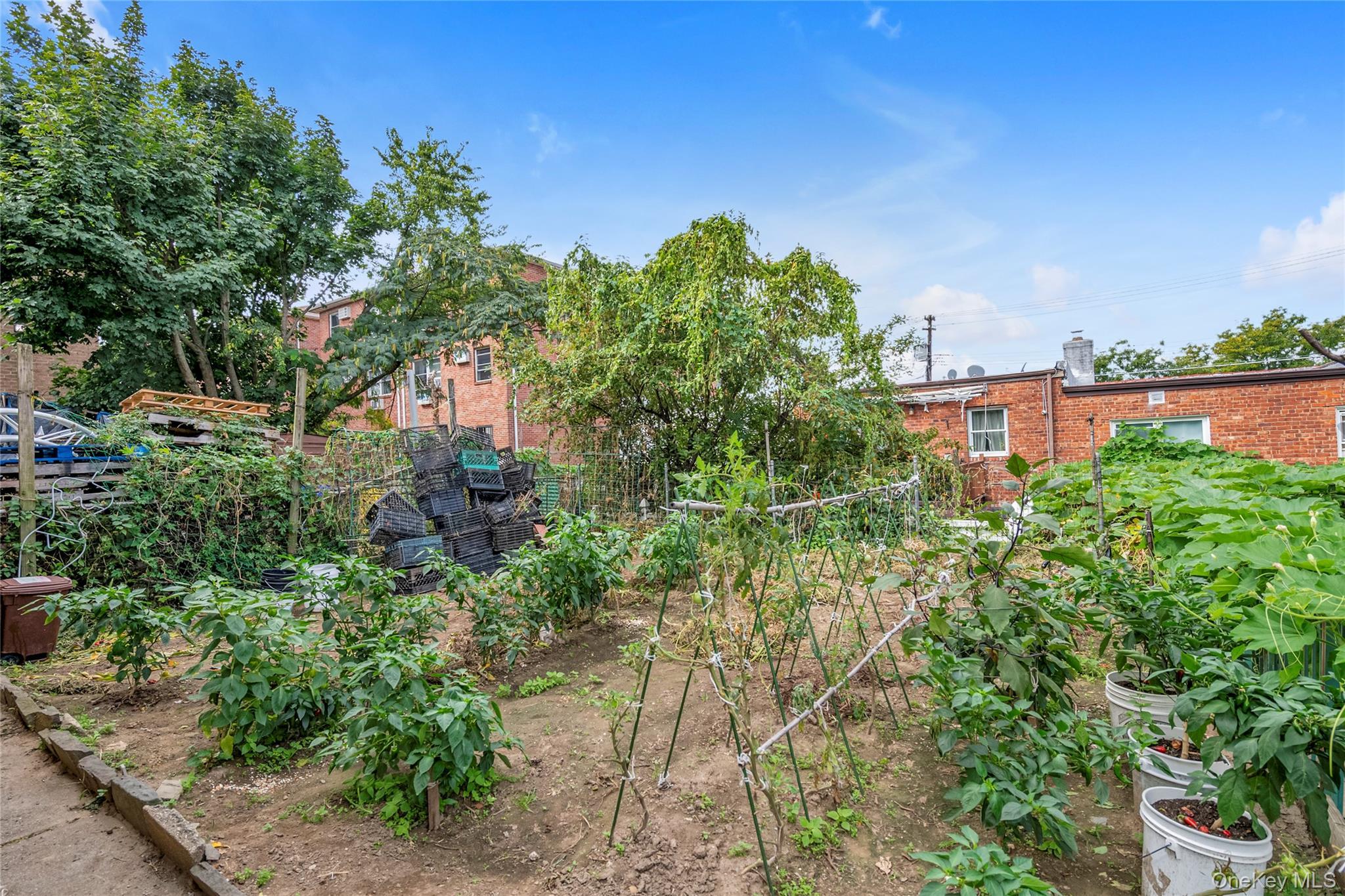 Single Family 123rd Street  Queens, NY 11354, MLS-1053246-17
