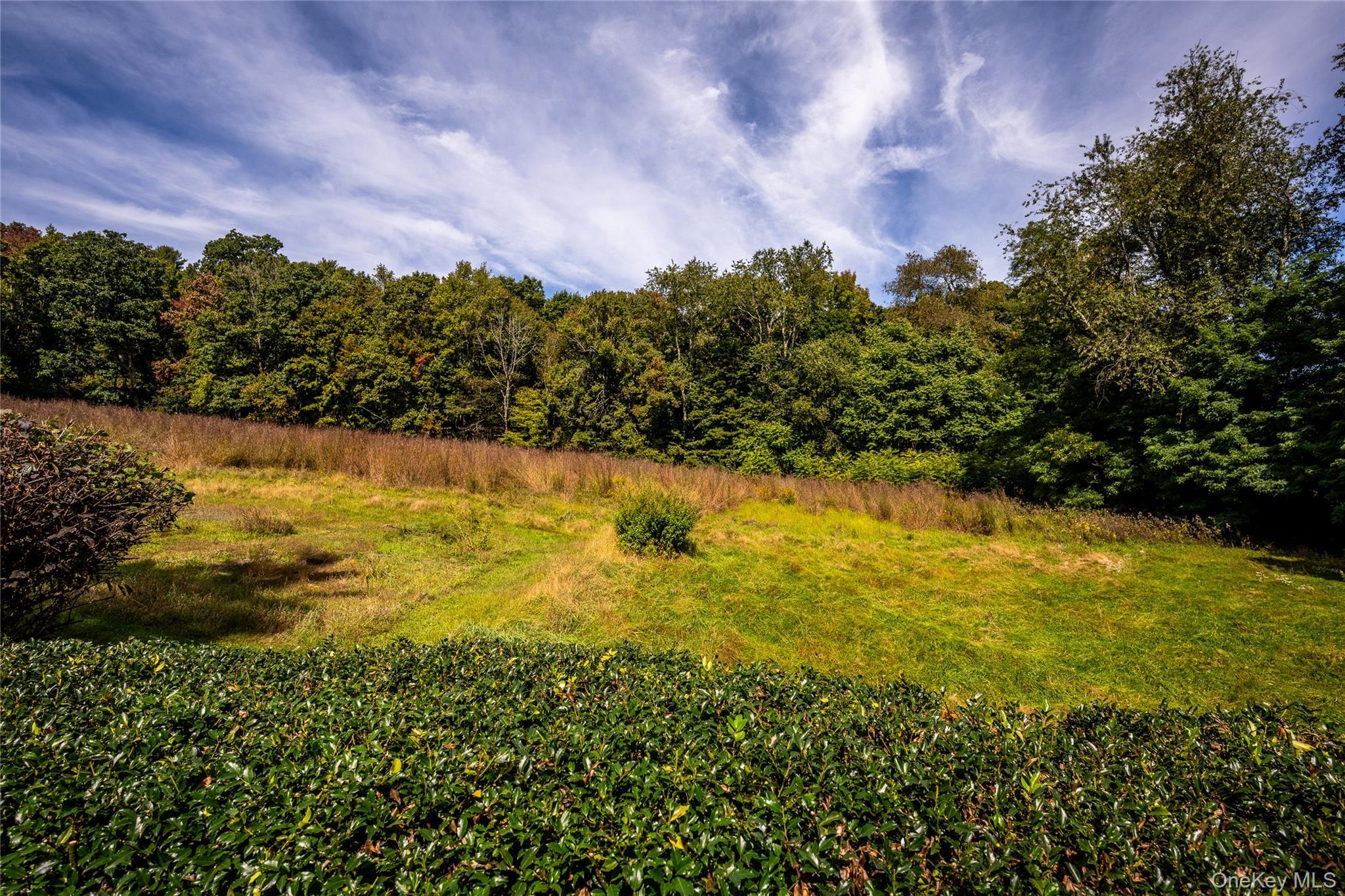 Single Family Tower Hill Road  Dutchess County, NY 12545, MLS-1053281-11