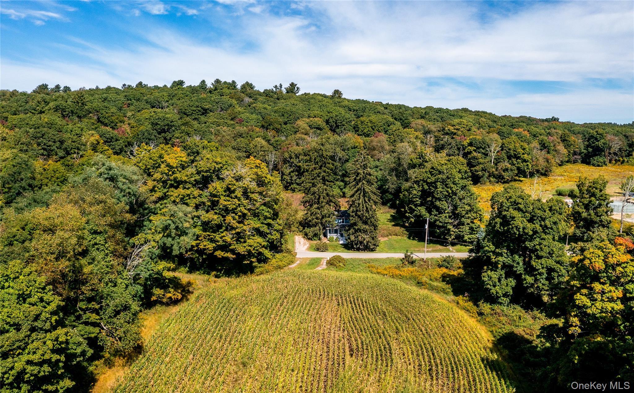 Single Family Tower Hill Road  Dutchess County, NY 12545, MLS-1053281-29