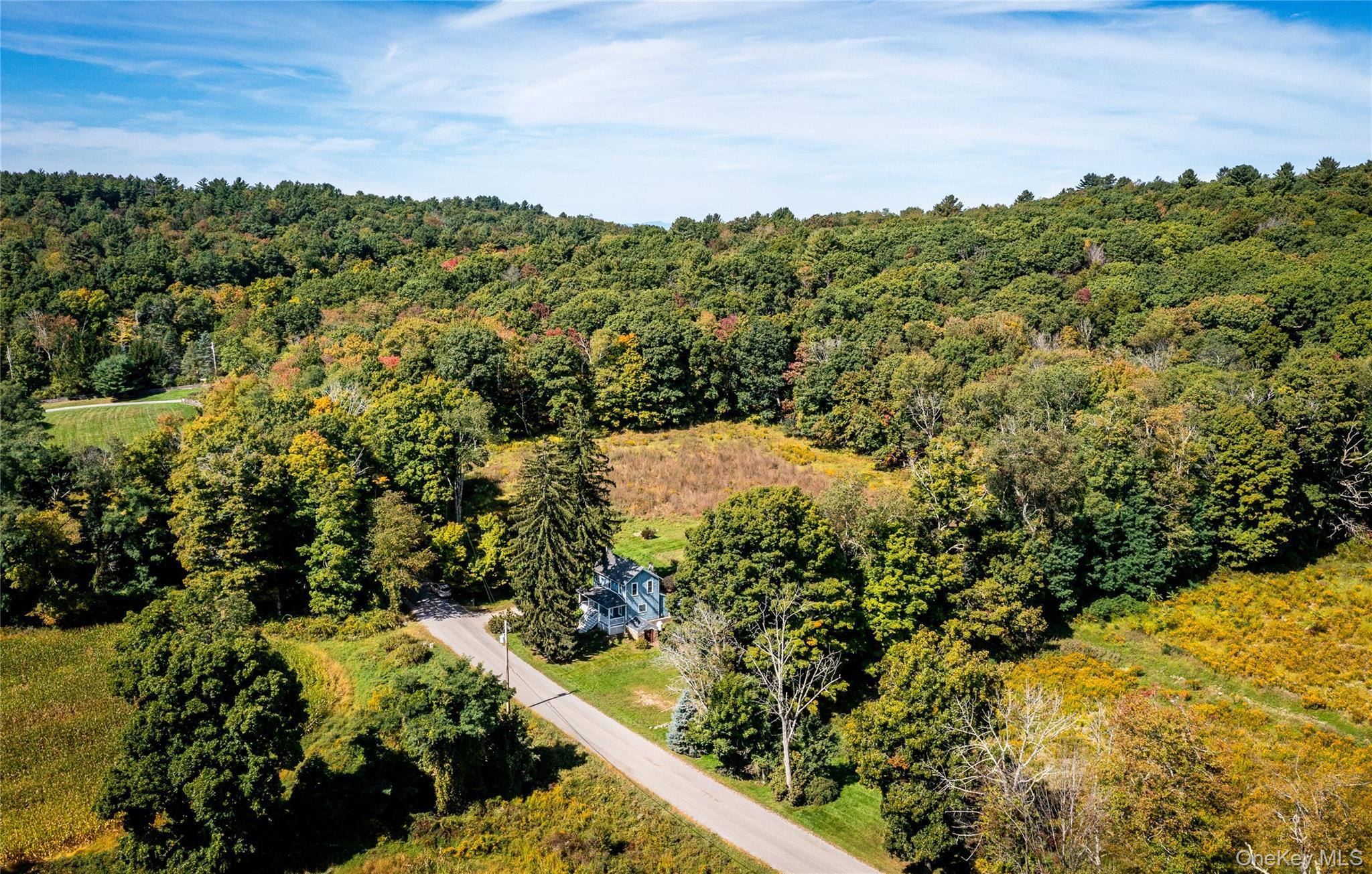 Single Family Tower Hill Road  Dutchess County, NY 12545, MLS-1053281-30