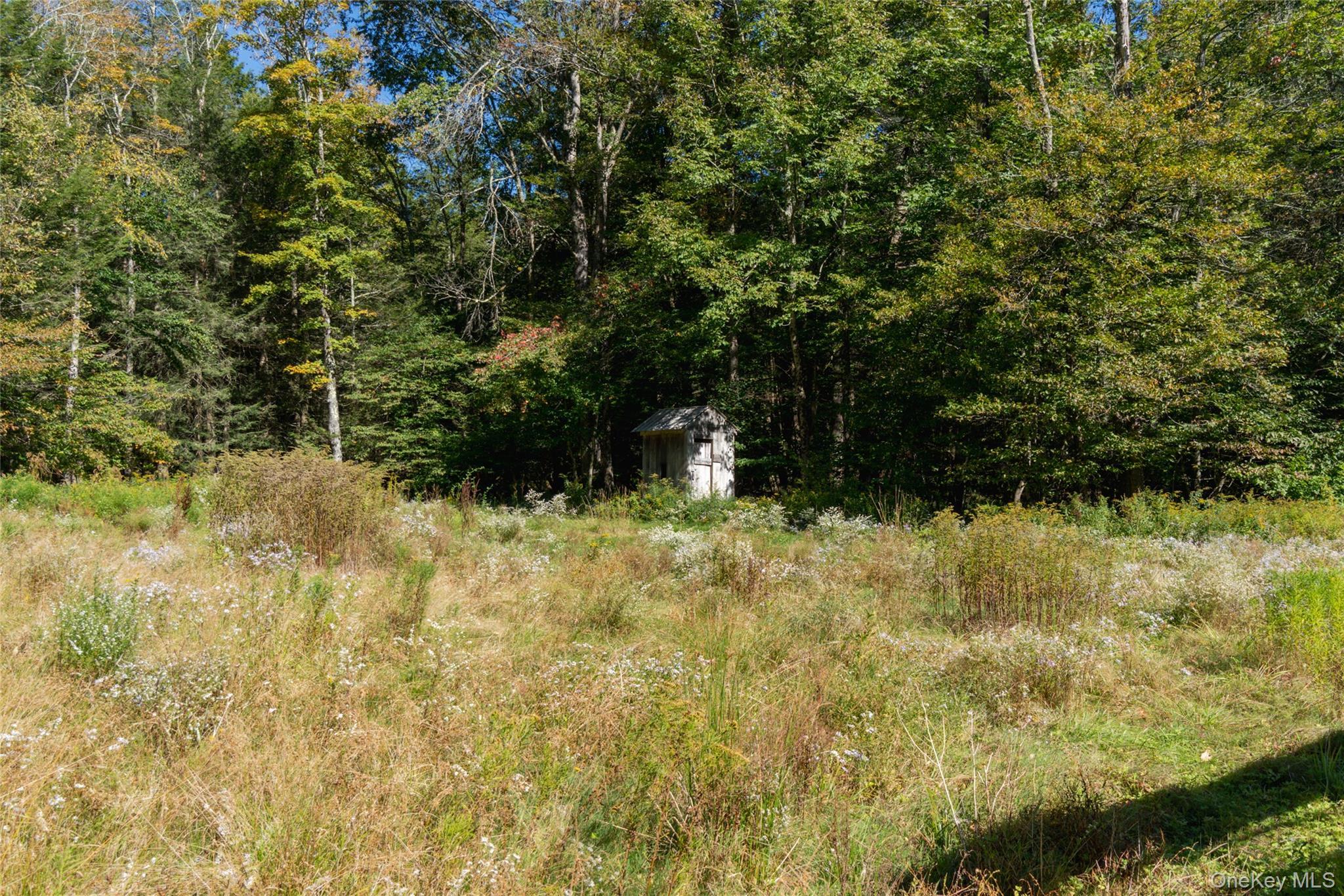 Single Family Parks Road Sullivan County, NY 12758, MLS-1053305-25