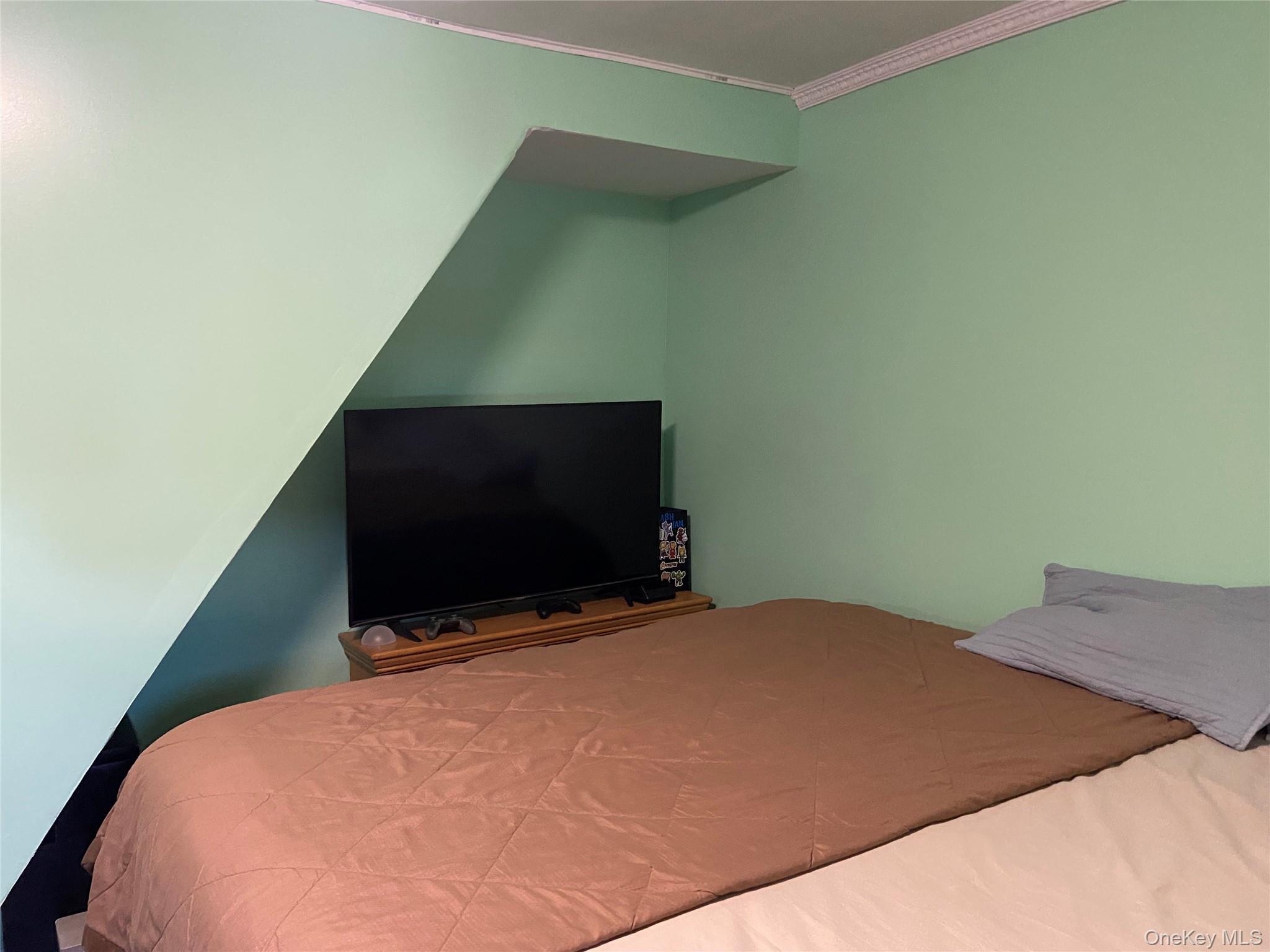 Single Family 144th Street Queens, NY 11436, MLS-1053374-13