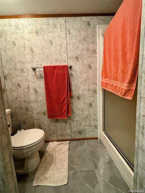 Single Family Old State Route 52 Sullivan County, NY 12788, MLS-1053393-9