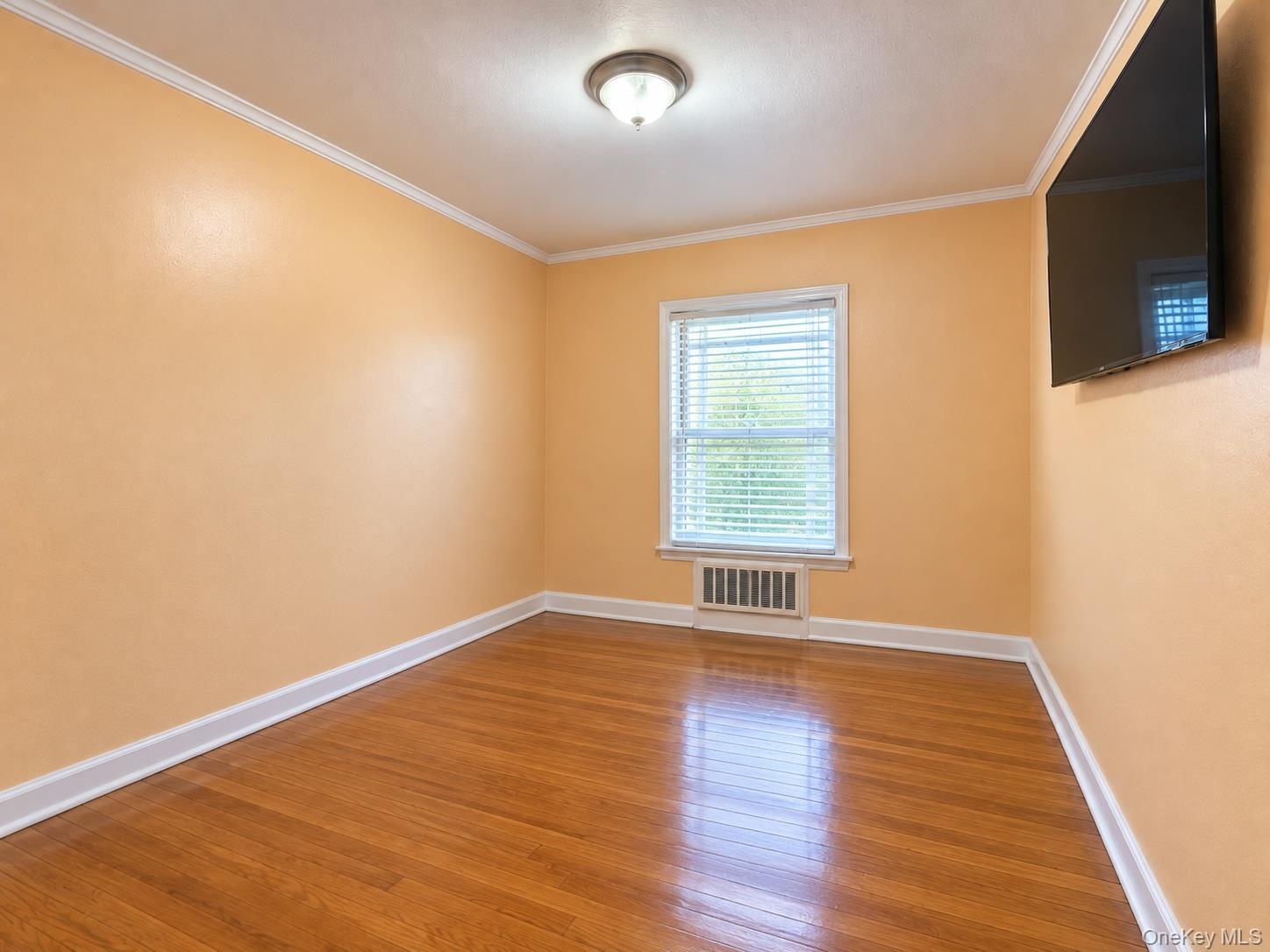 Single Family Monterey Street Queens, NY 11429, MLS-1053424-13